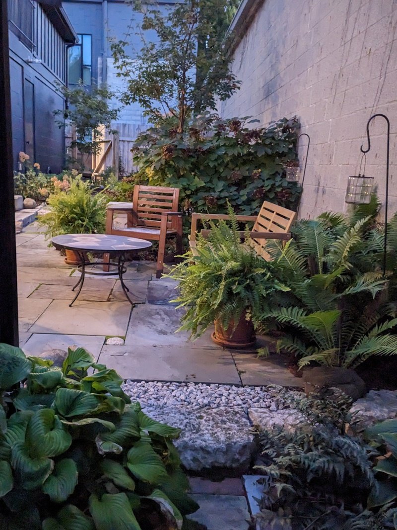 A small sitting area in the evening light is cozied in with plantings all around
