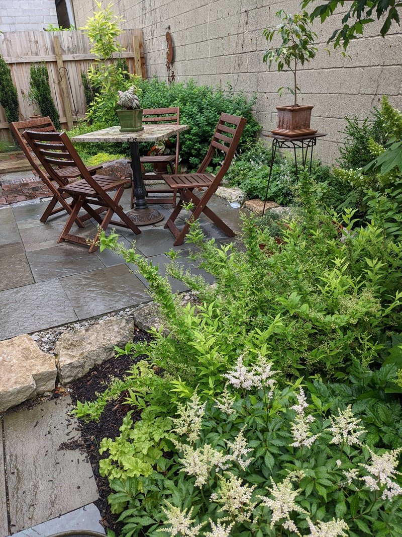 White, blooming flowers stand out in the foreground, a patio with wood table and chairs in the background