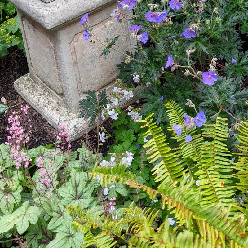 A bright, light-green fern sits next to a corner of the fountain’s pedestal base