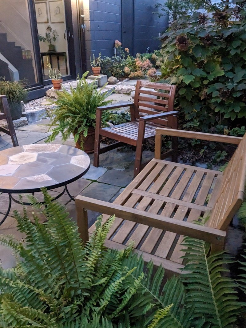 Wood patio chairs and a low mid-century style coffee table have planter pots of ferns nearby
