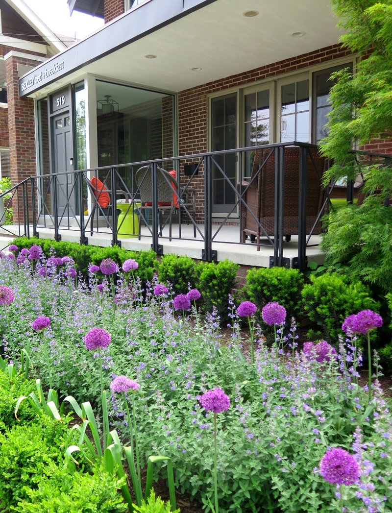 A low row of soft boxwood is backed with a row of light purple nepeta and balls of bright purple allium with a green backdrop in front of the modern porch