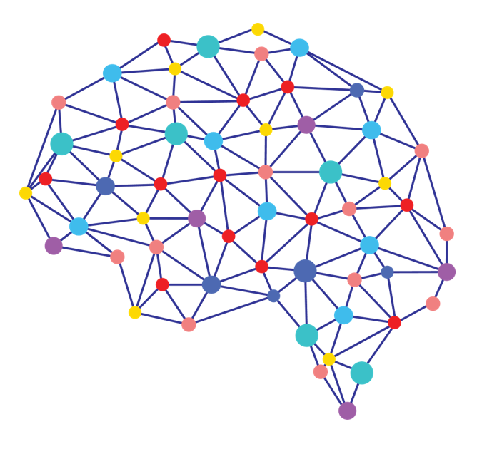 The Brain Physio