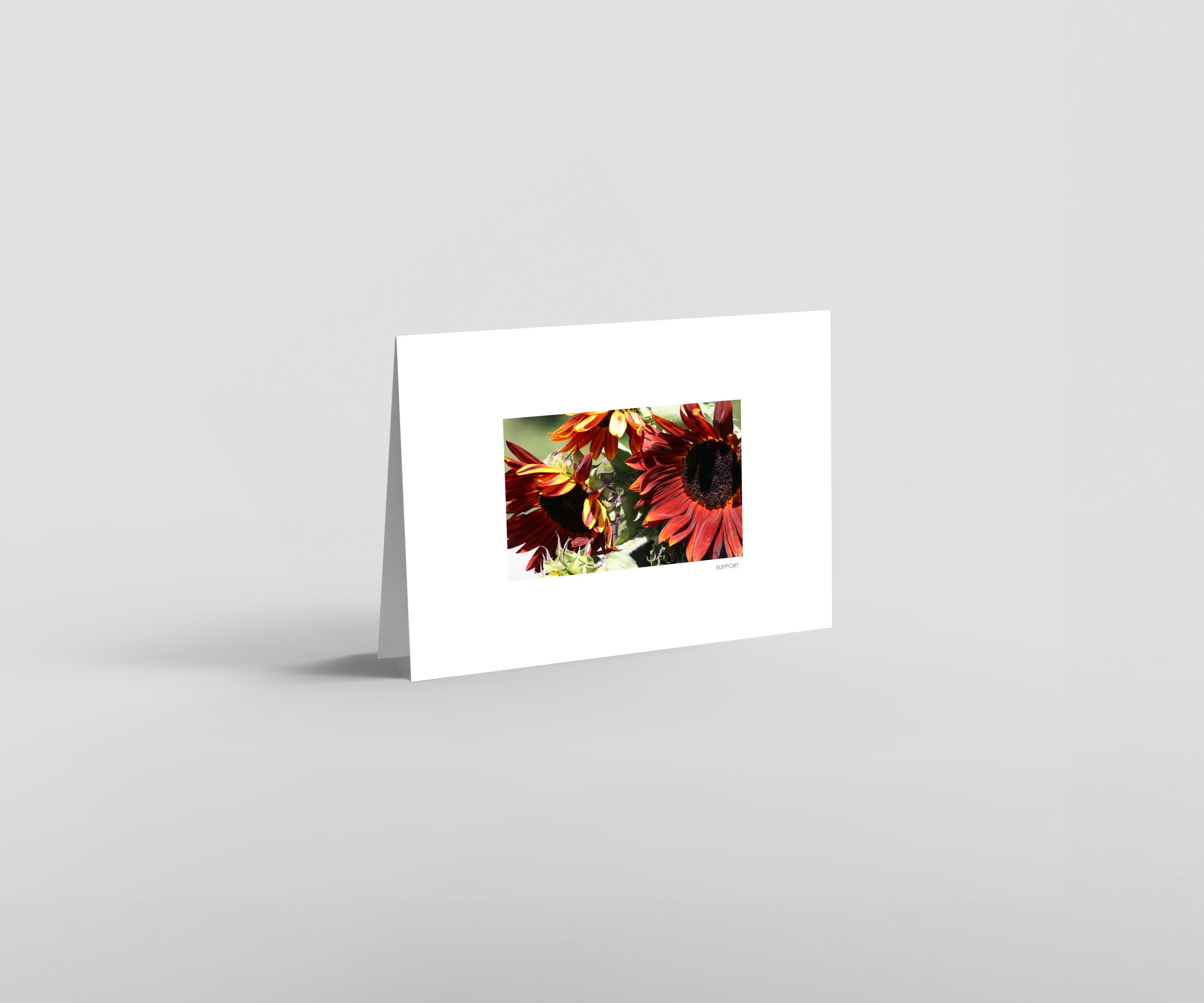 Autumn-Support-01-store-D.jpg