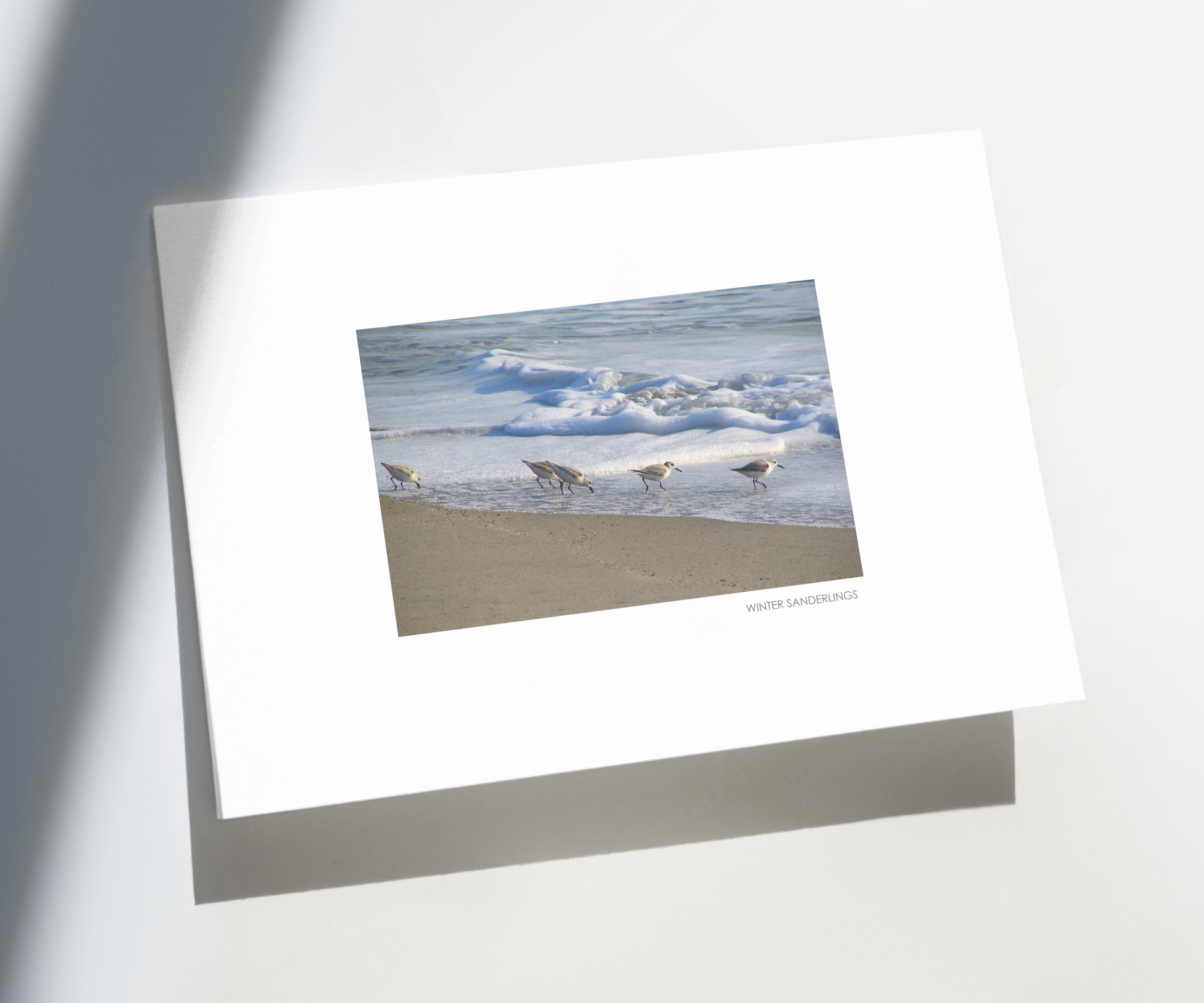 Sandpiper-01H-SanClemente-store-E.jpg