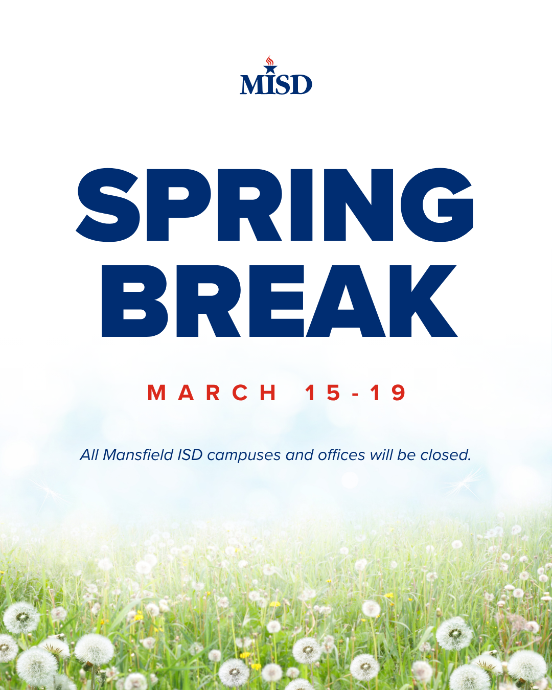 Spring Break.png