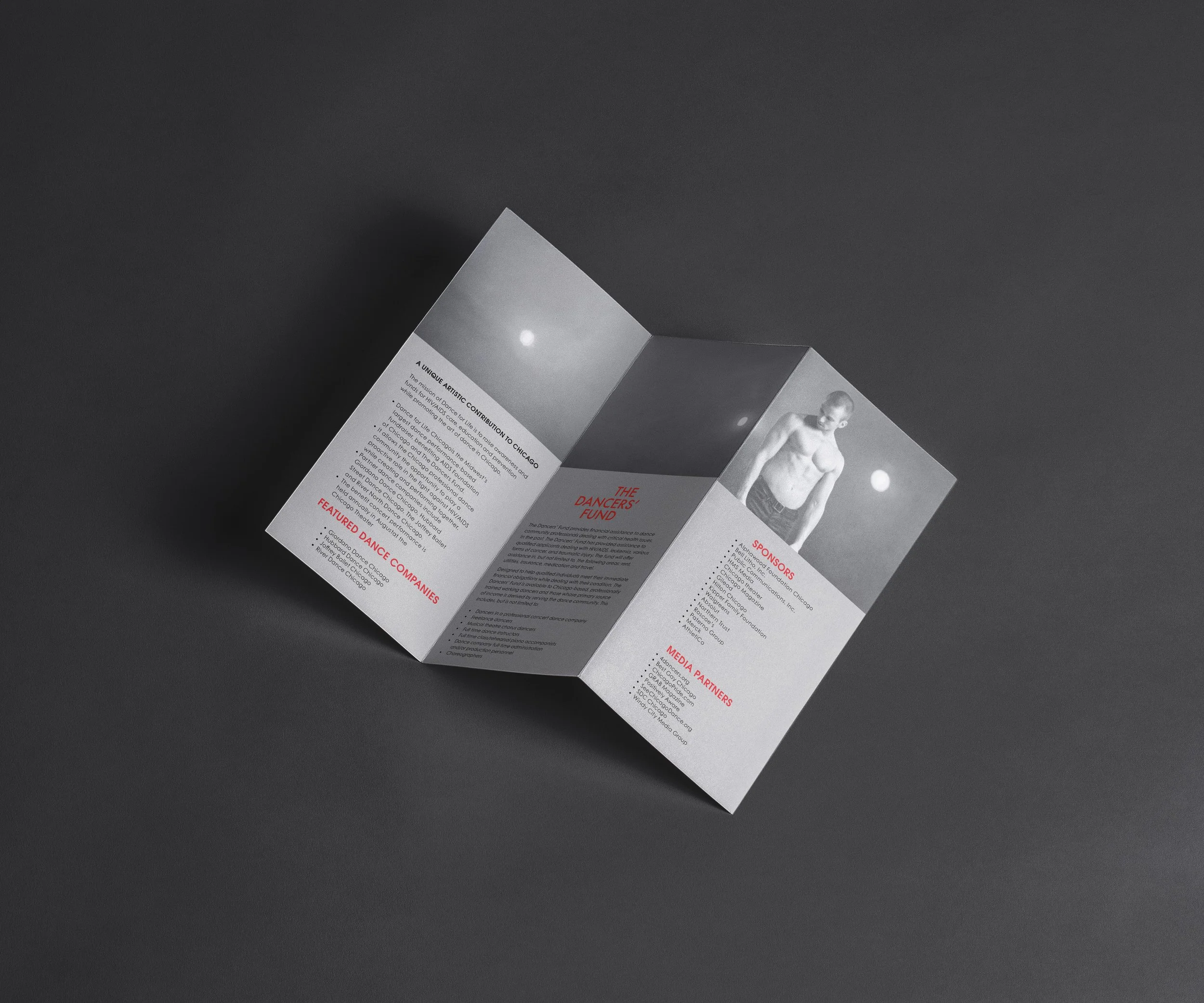 dfl-brochure-mockup-2.jpg