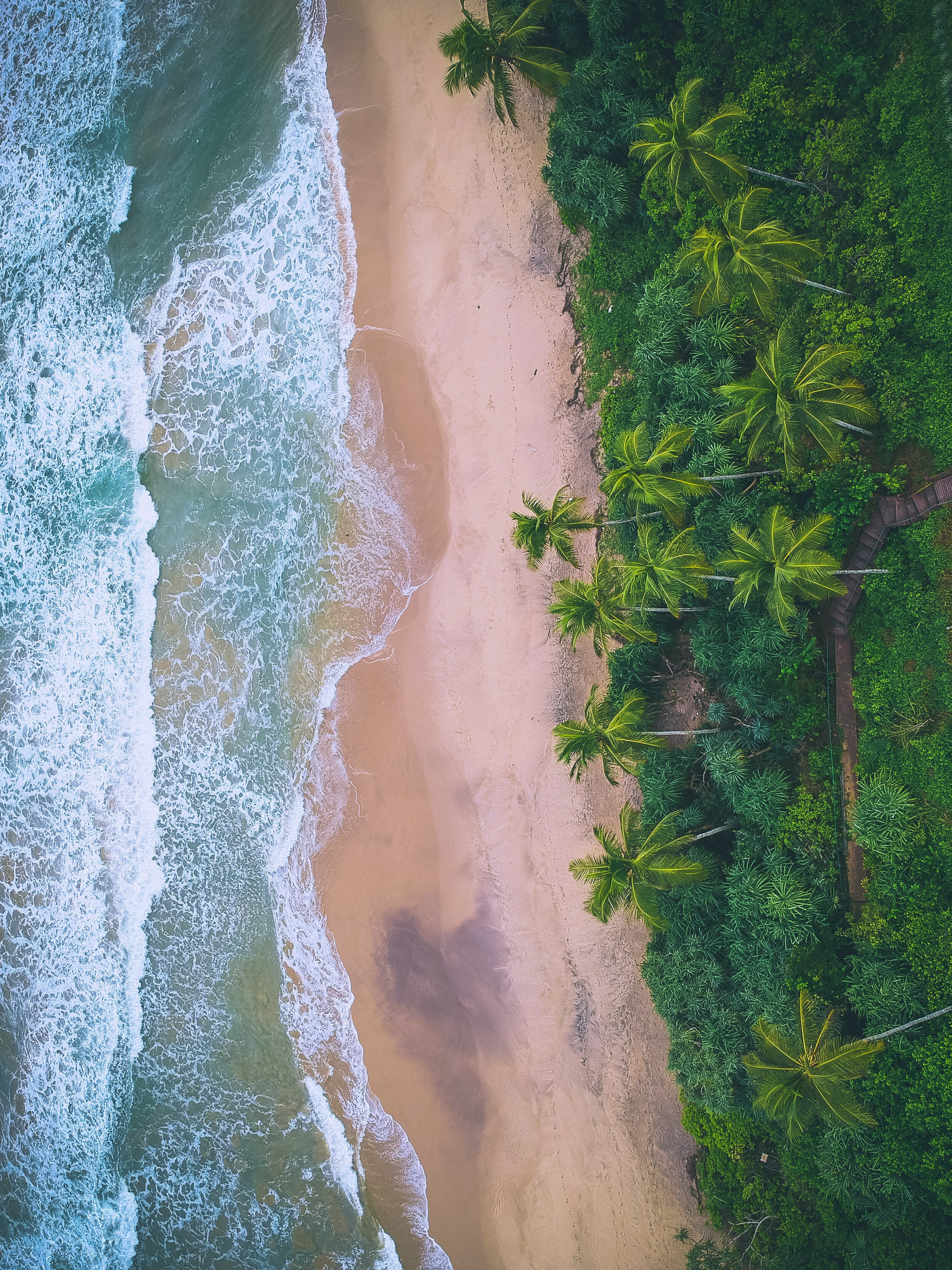 sri lanka beach aerial .jpg