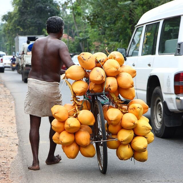 Sri Lanka king coconut