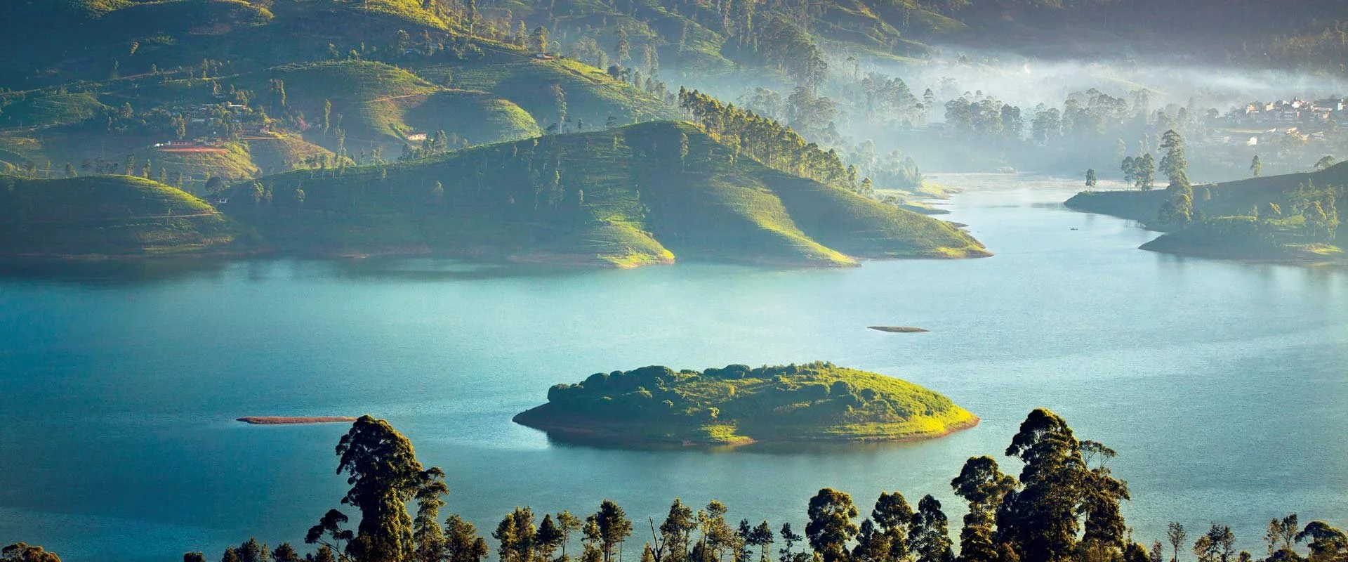 Tea Trails Lake.jpeg