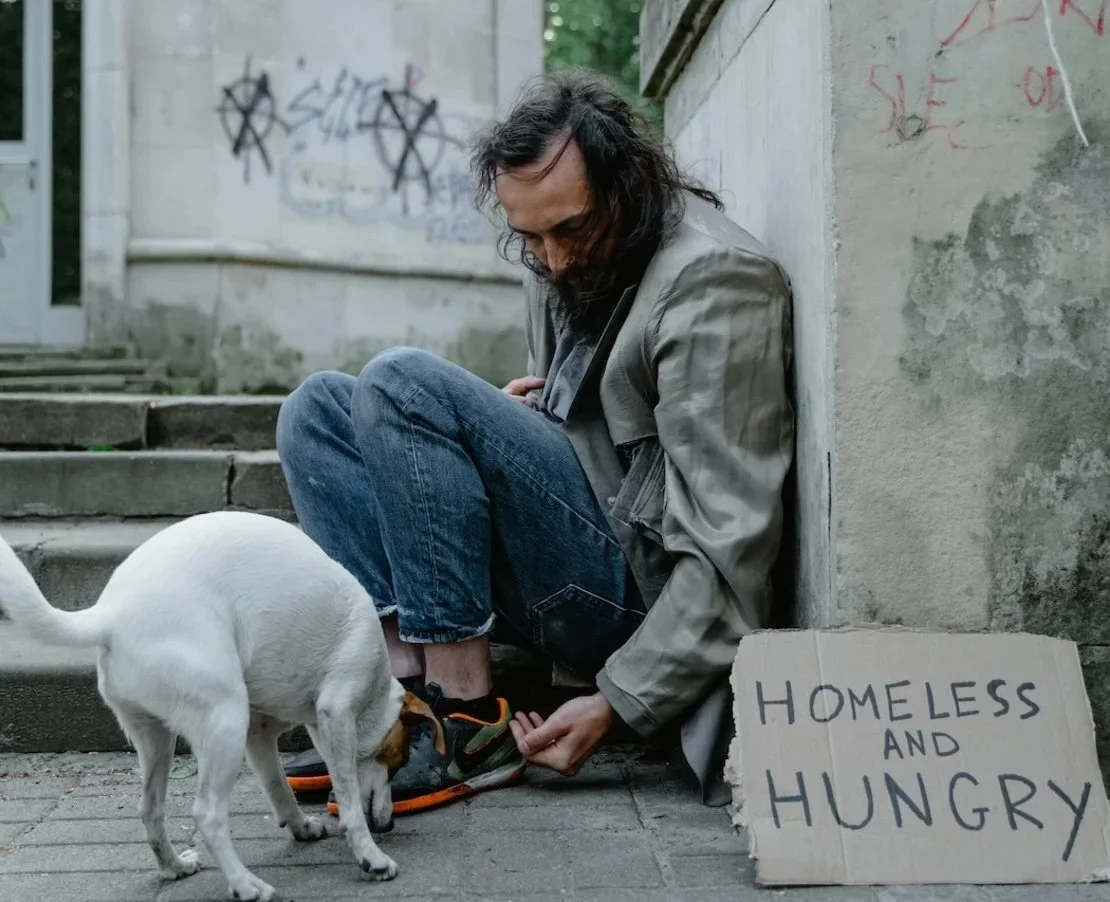 Ein obdachloser Mann sitzt auf einer Treppe neben einem handgeschriebenen Schild, auf dem 'Homeless and Hungry' steht. Ein kleiner Hund steht vor ihm und schnüffelt am Boden.