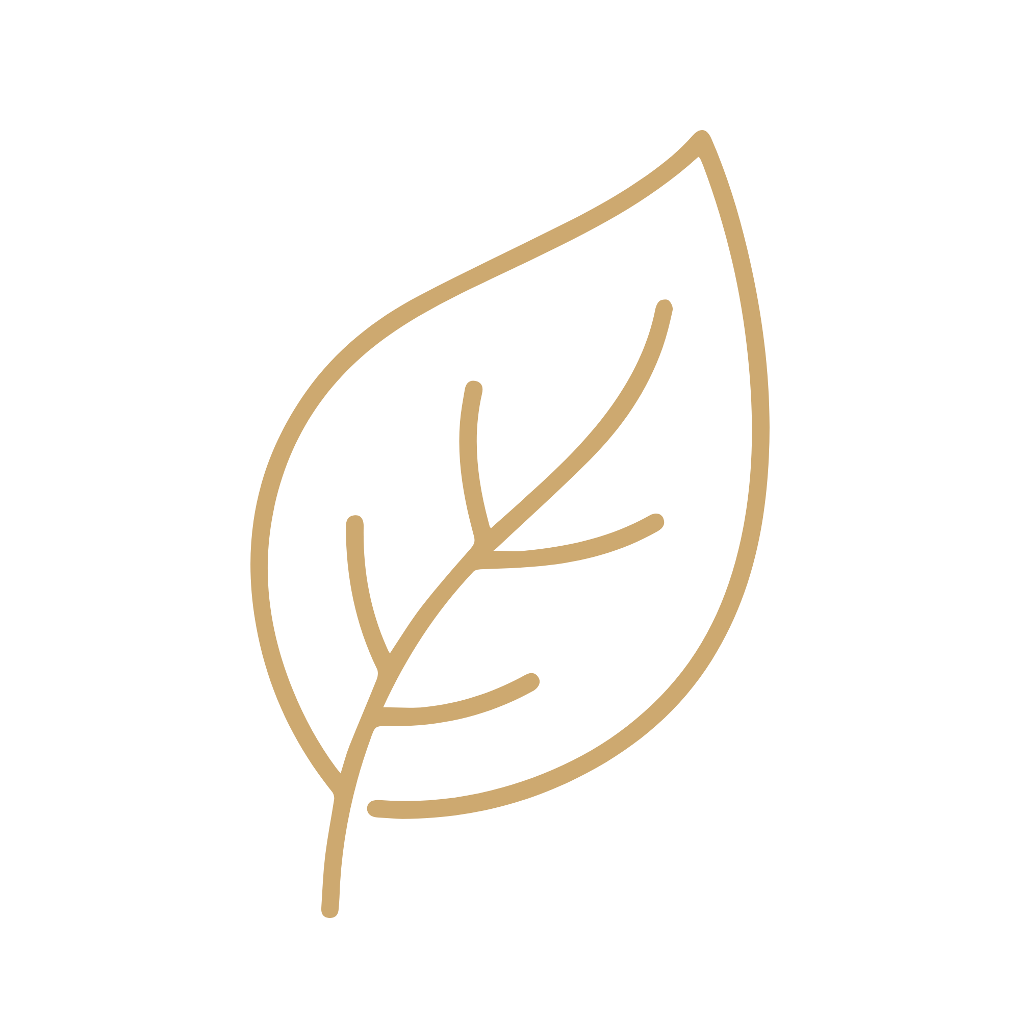 Clean and conscious skincare