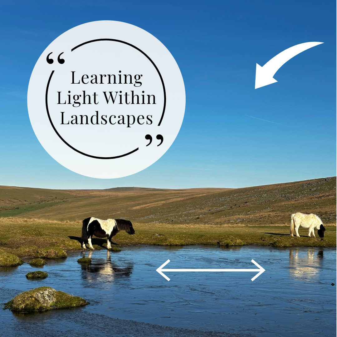 Learning Light Within Landscapes