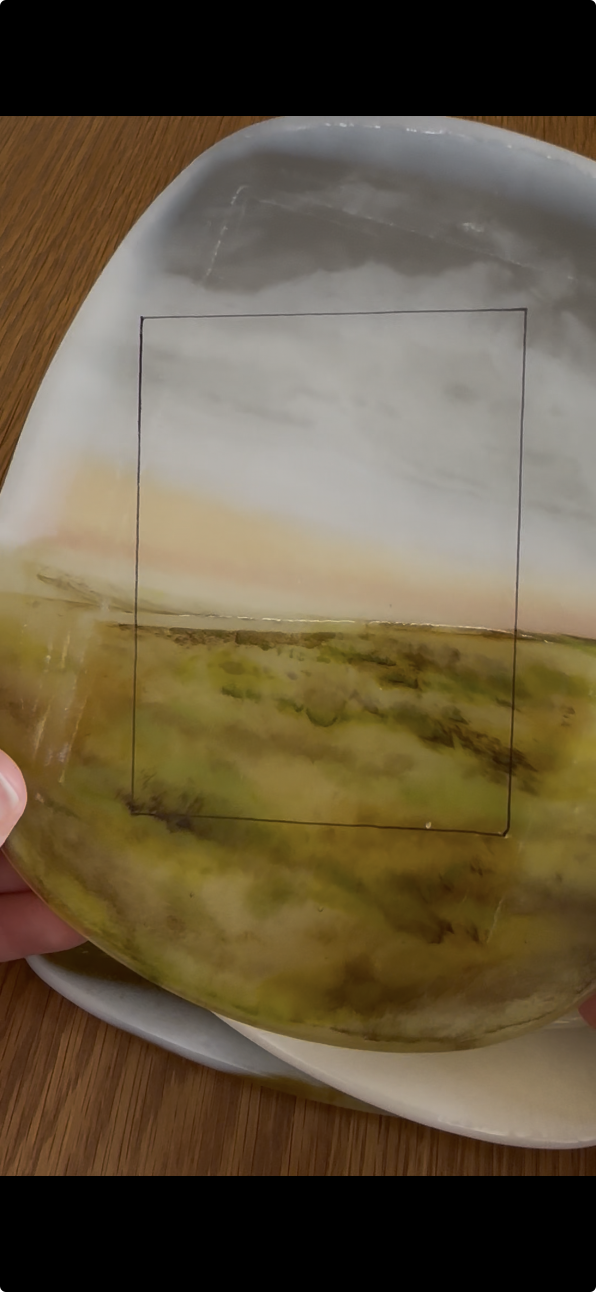 View recent photos.png