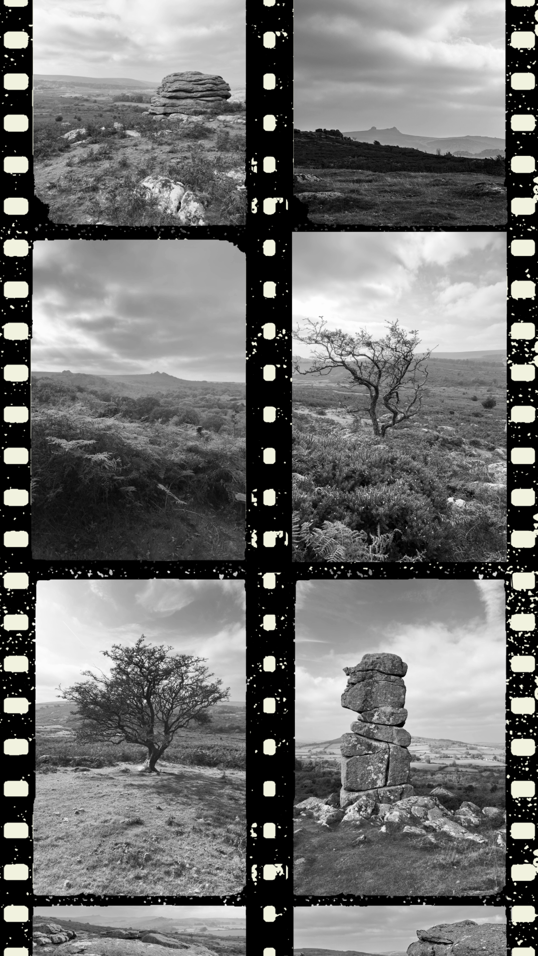 A black and white photography contact sheet featuring 6 Dartmoor images of tors and trees