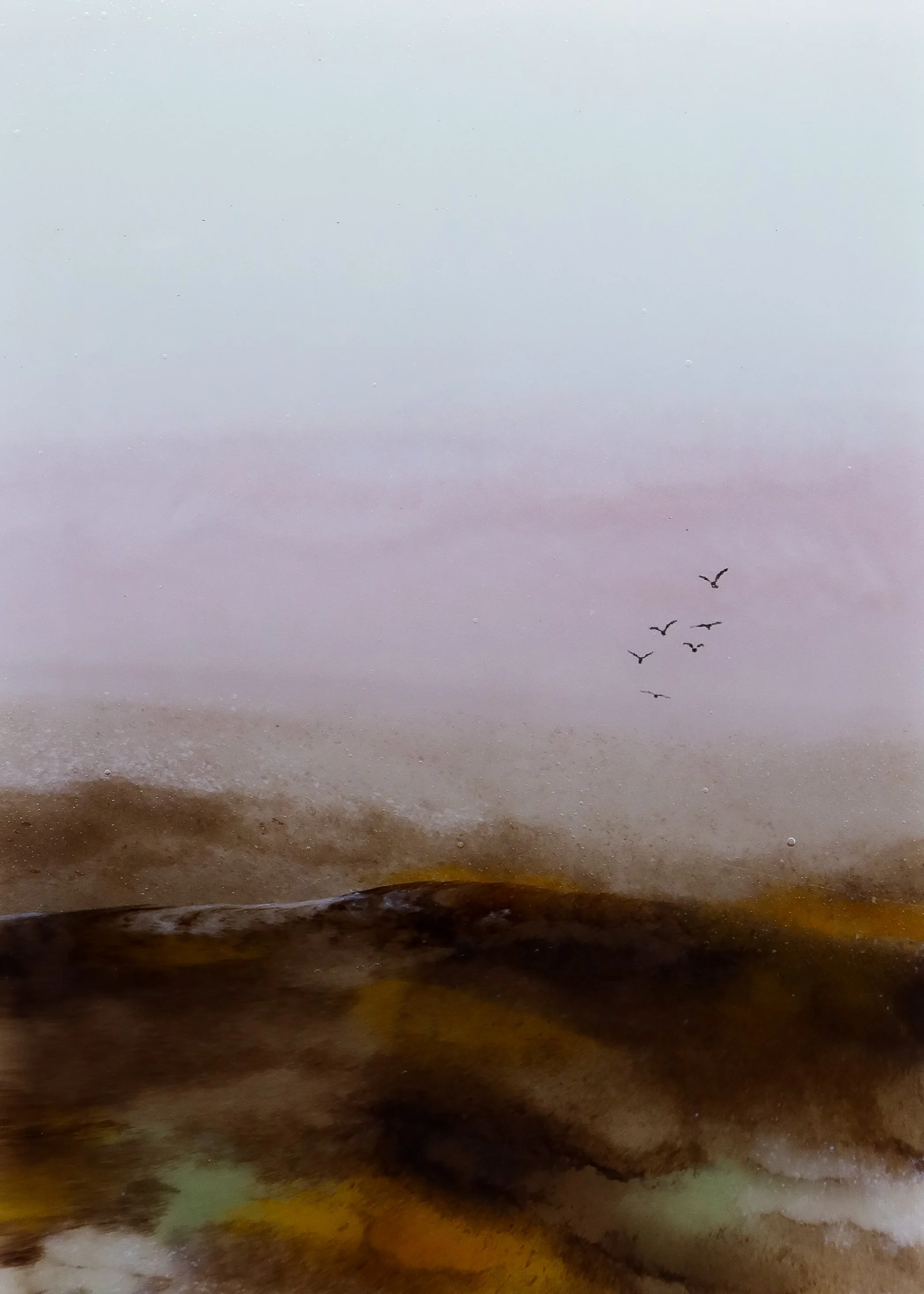 Burnished Moor.jpg