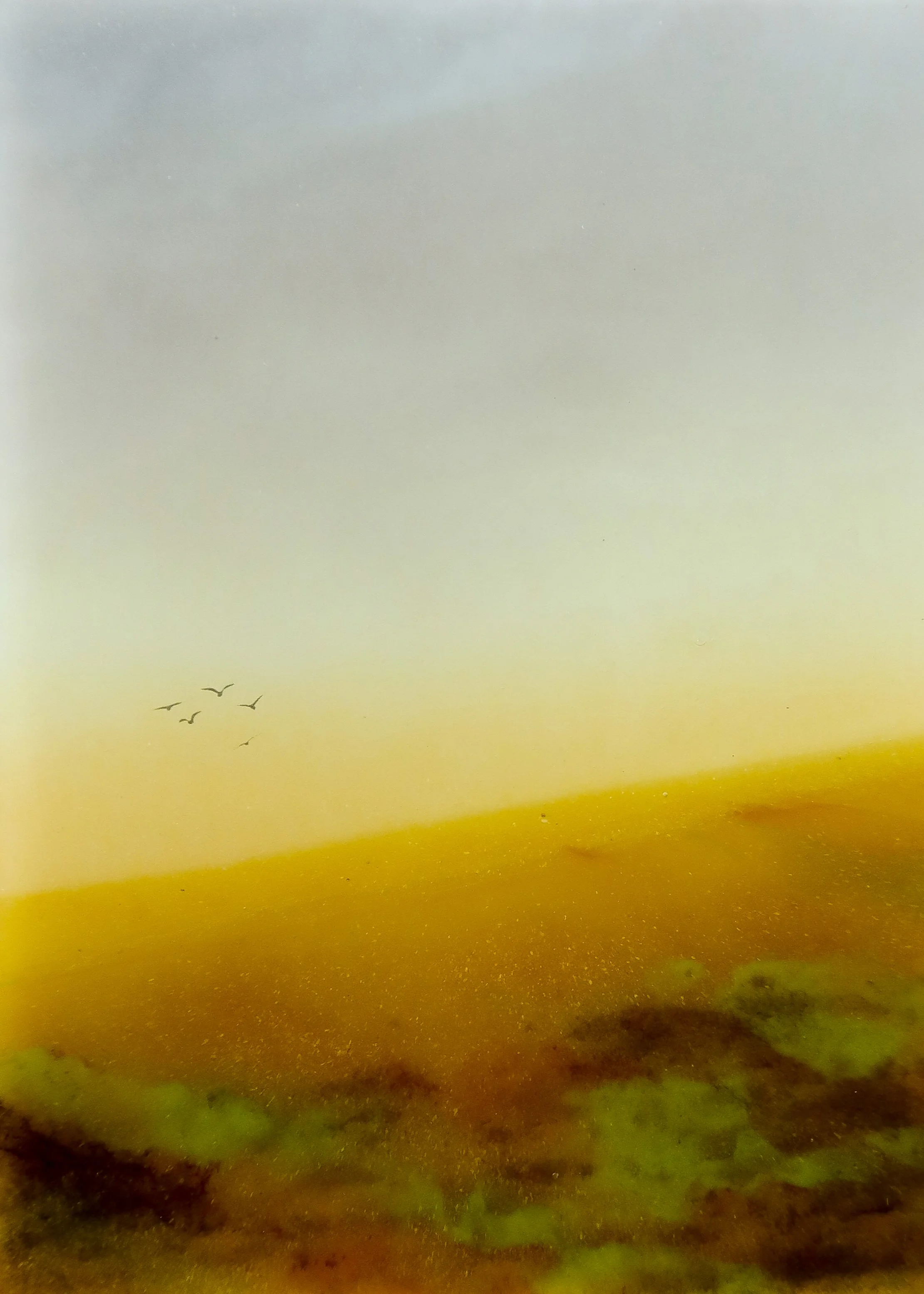 Golden Moor.jpg