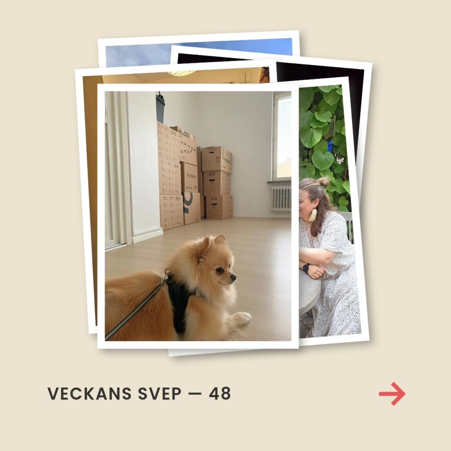 Veckans svep 🌬️

🍾 S&aring;h&auml;r skulle det sett ut om vi hade haft tid att fira (kanske lite mindre somrigt). Vi har nu n&auml;mligen signerat avtal f&ouml;r ett nytt projekt som kommer att h&aring;lla oss sysselsatta upp &ouml;ver &ouml;ronen 