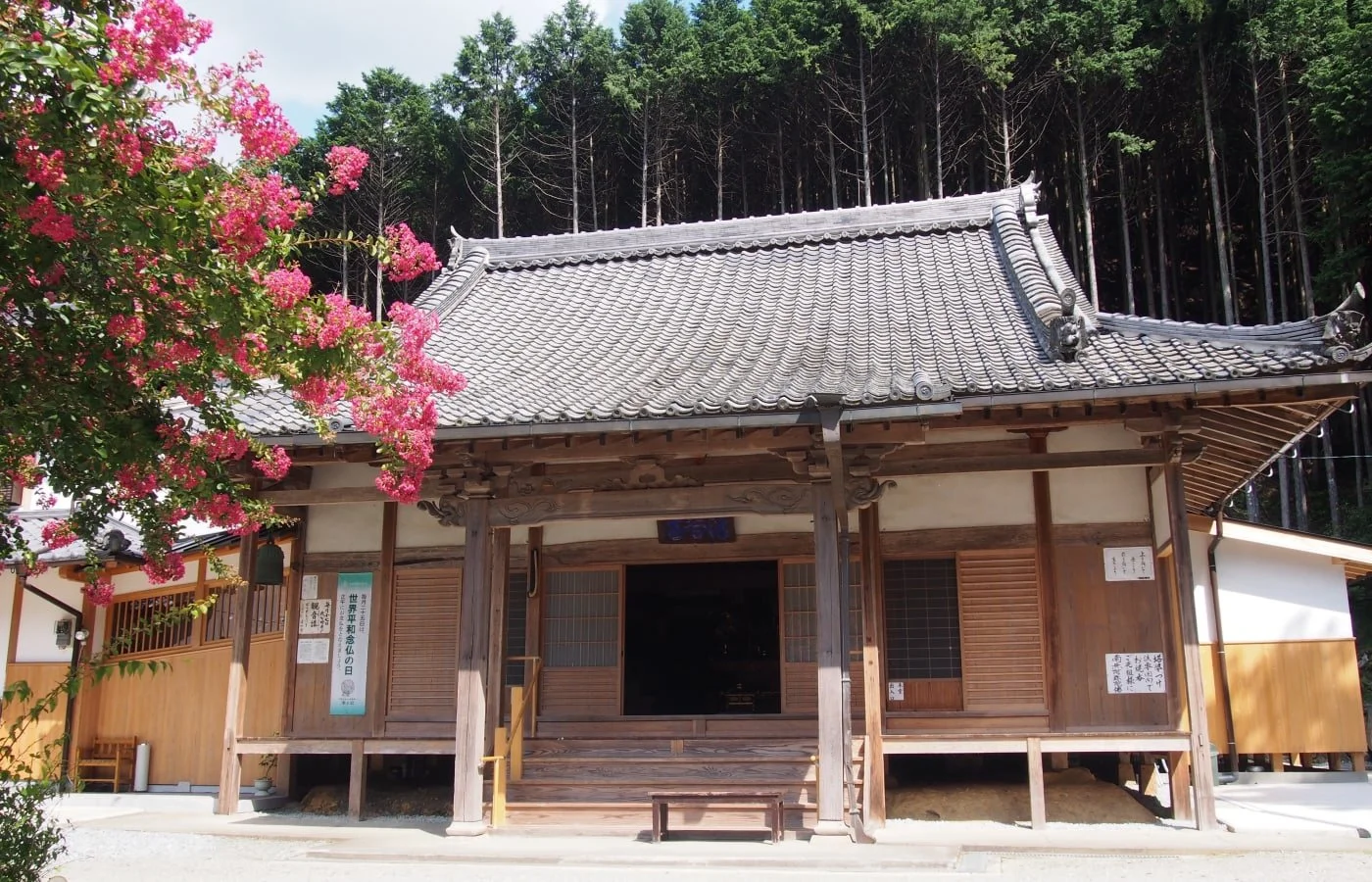 Discover the Serenity of an Overnight Stay at a Nara Temple