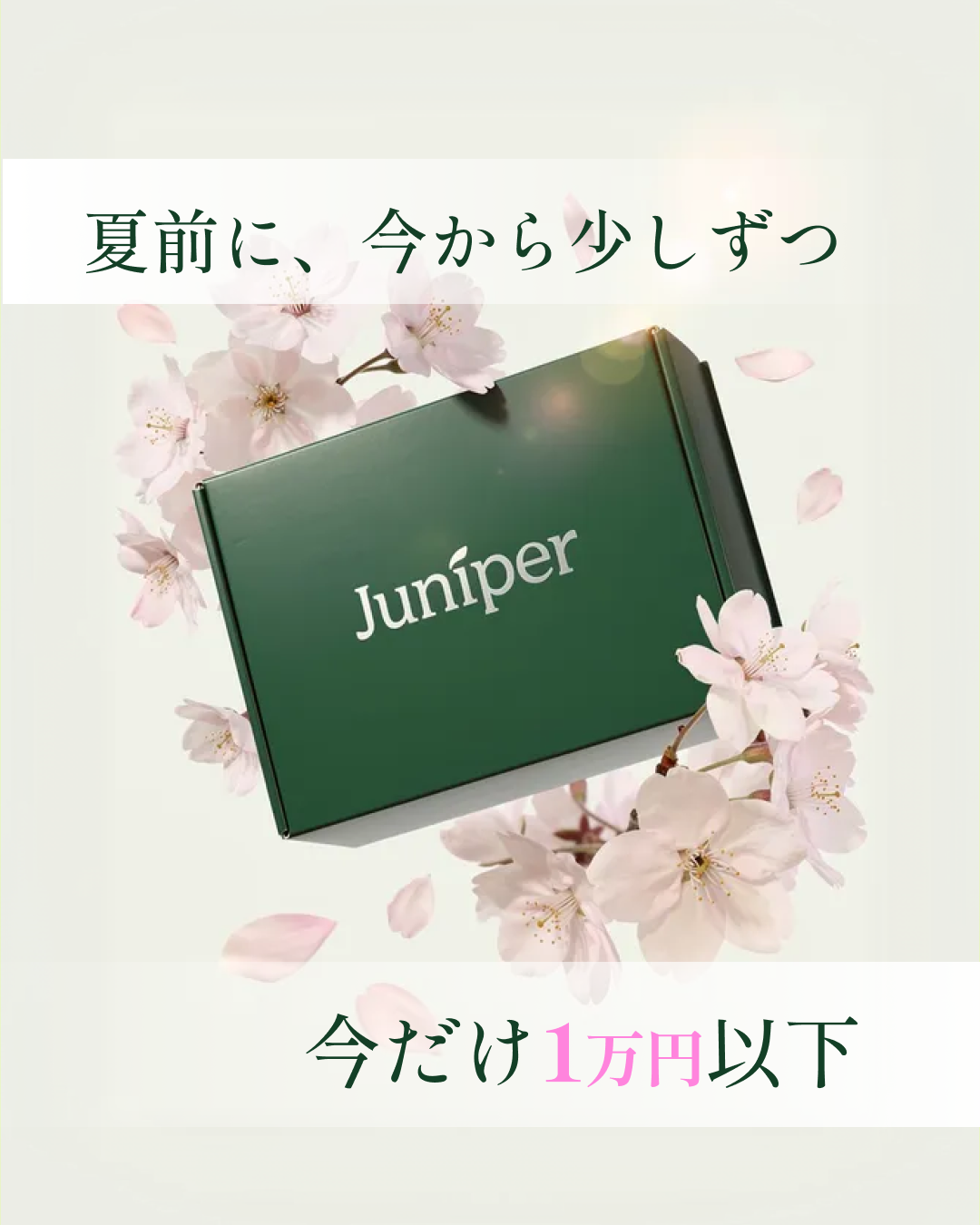 Campaign-visual-+ 4月末まで延長決定！ _MNP9-228-38011_Explore_f-Image_BOF__Clear-Value_b-price_c-Meta_.png