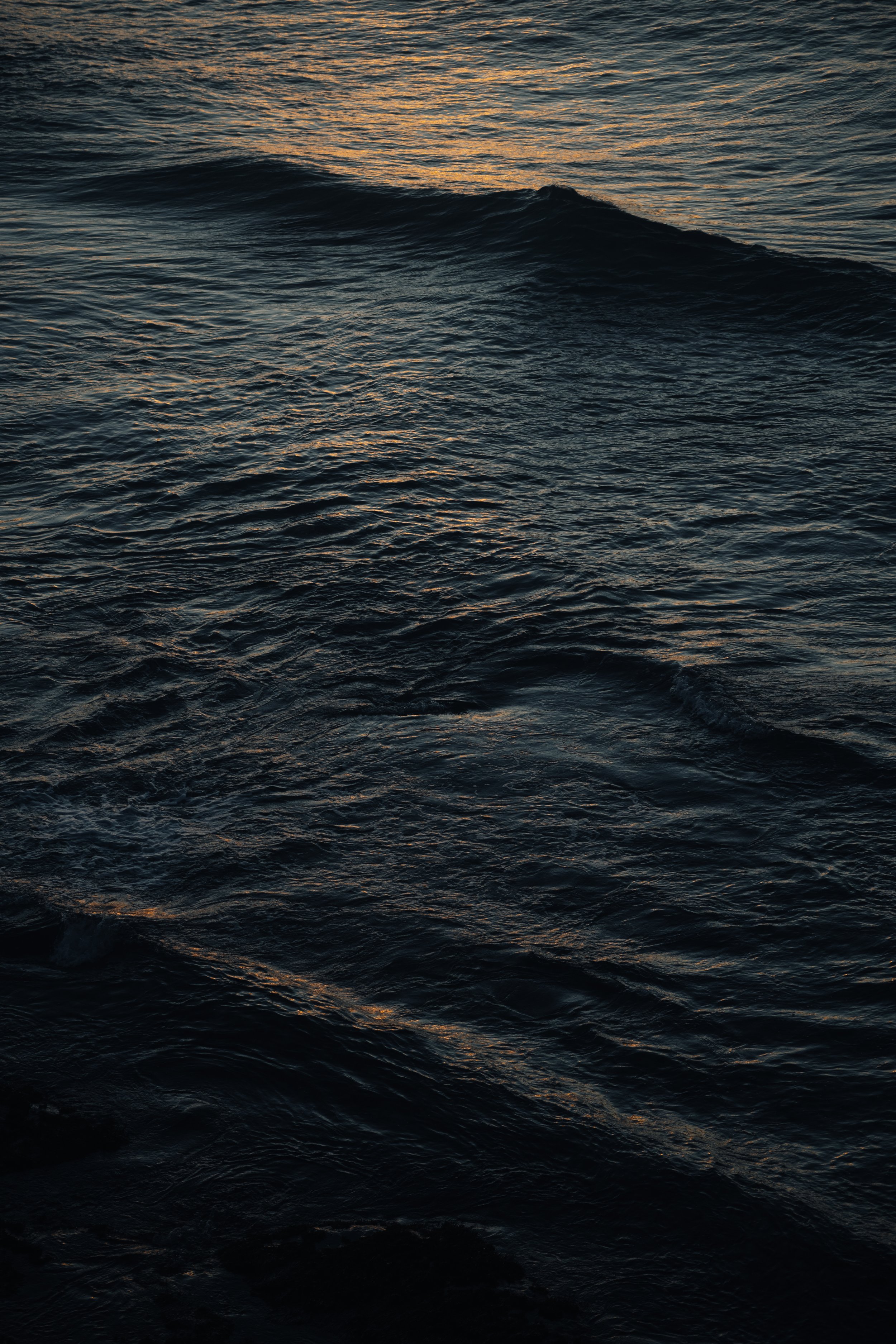 R6II5405.jpg