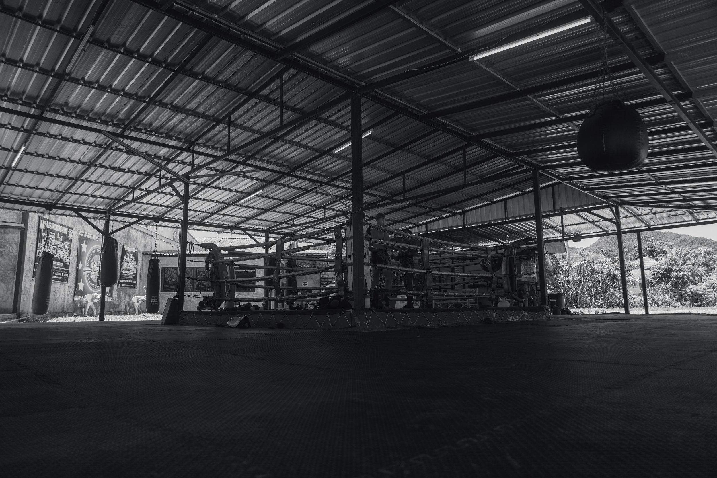 R6II1304.jpg