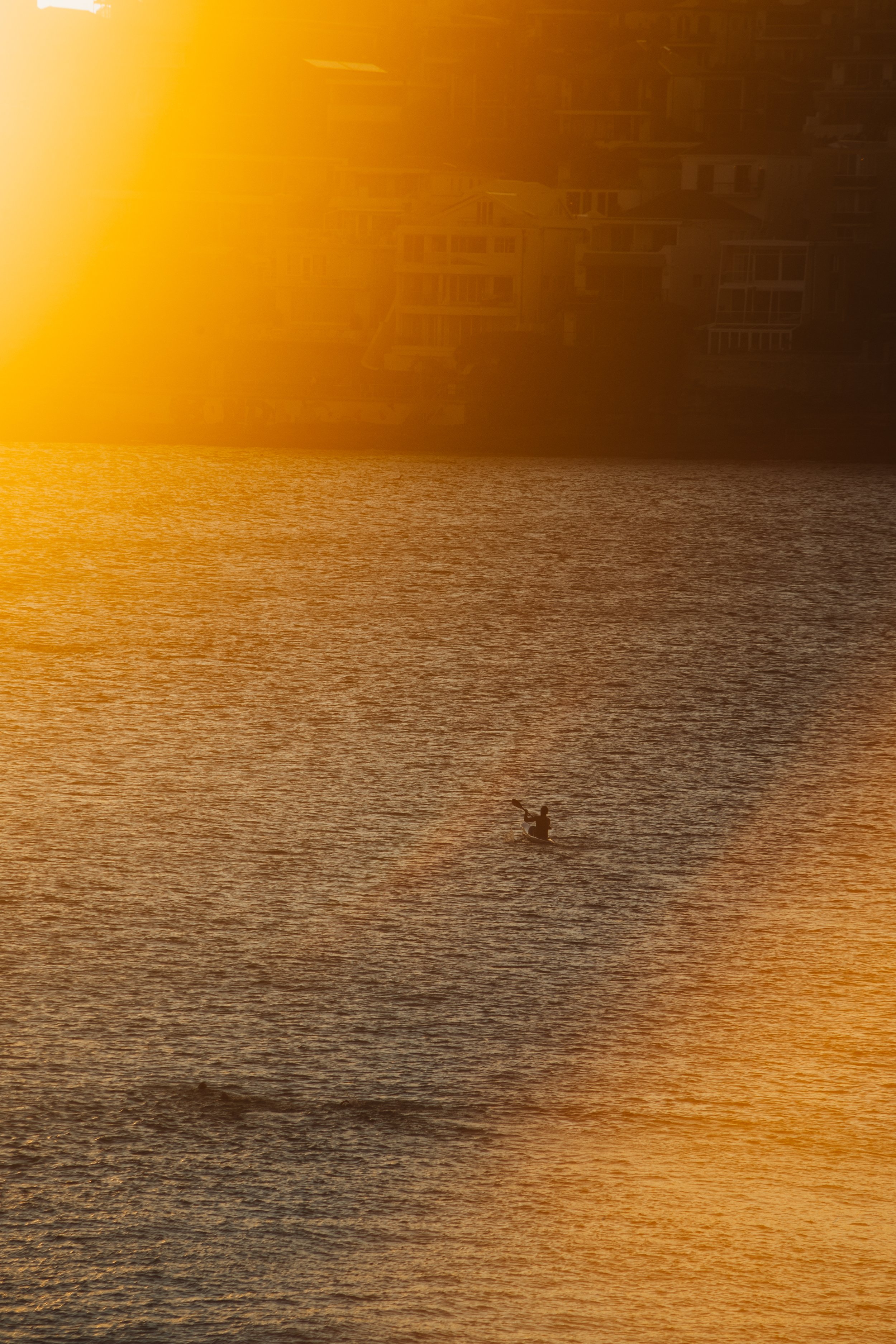 R6II5427.jpg