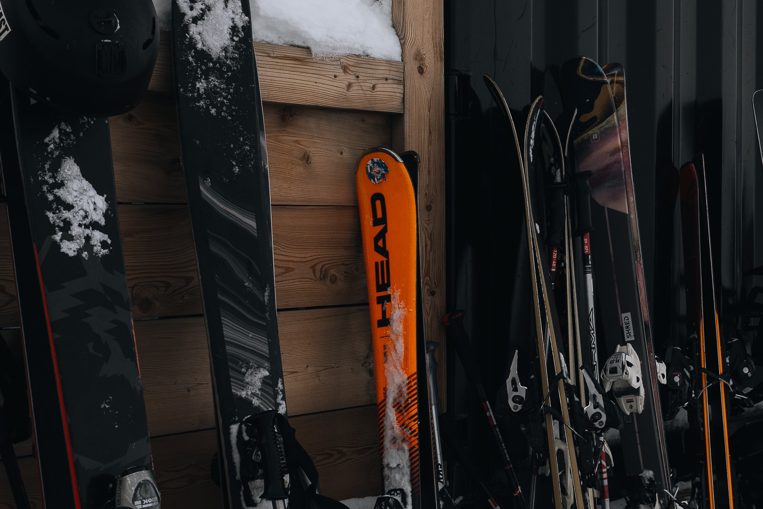 R6II8170.jpg