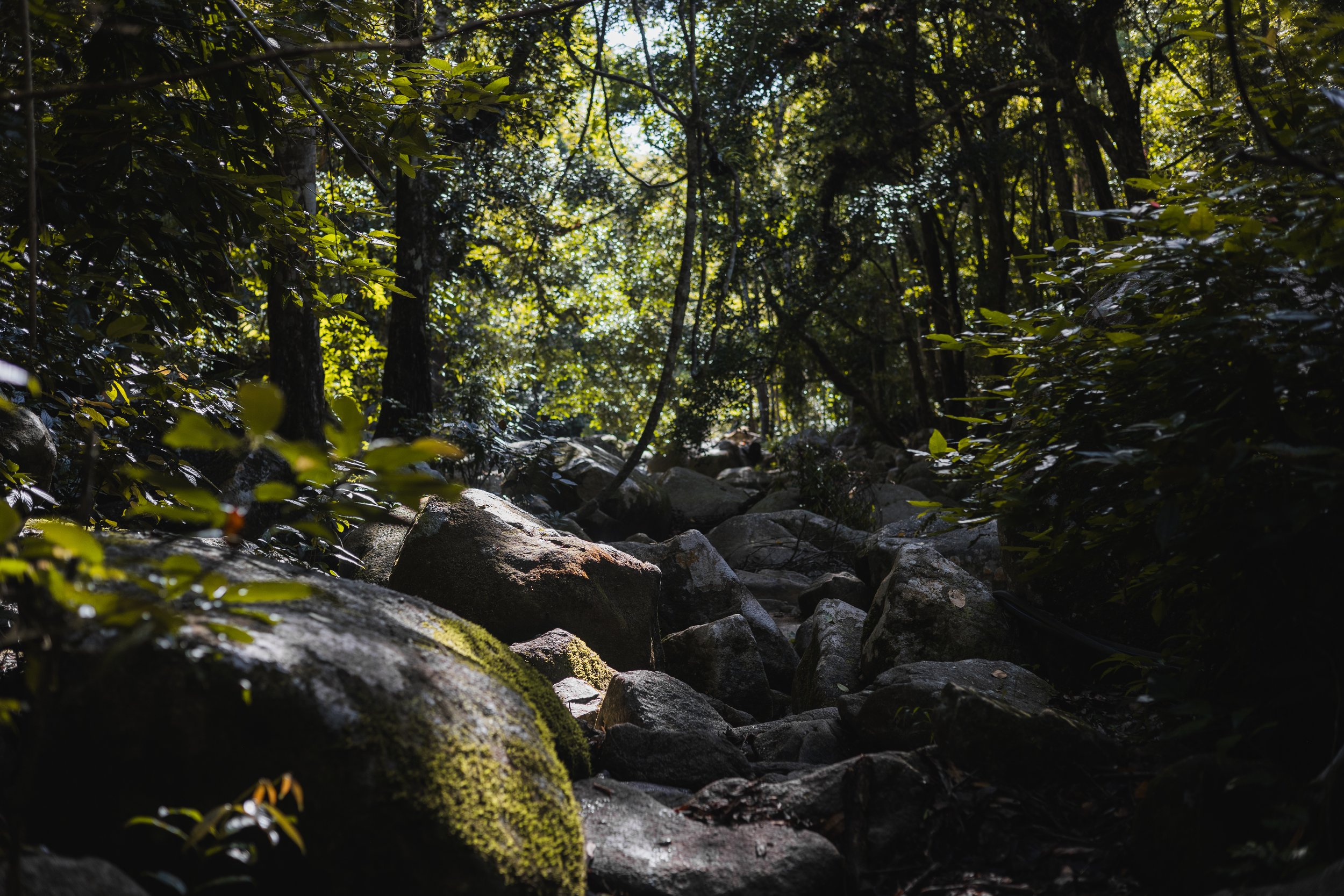 R6II0367.jpg