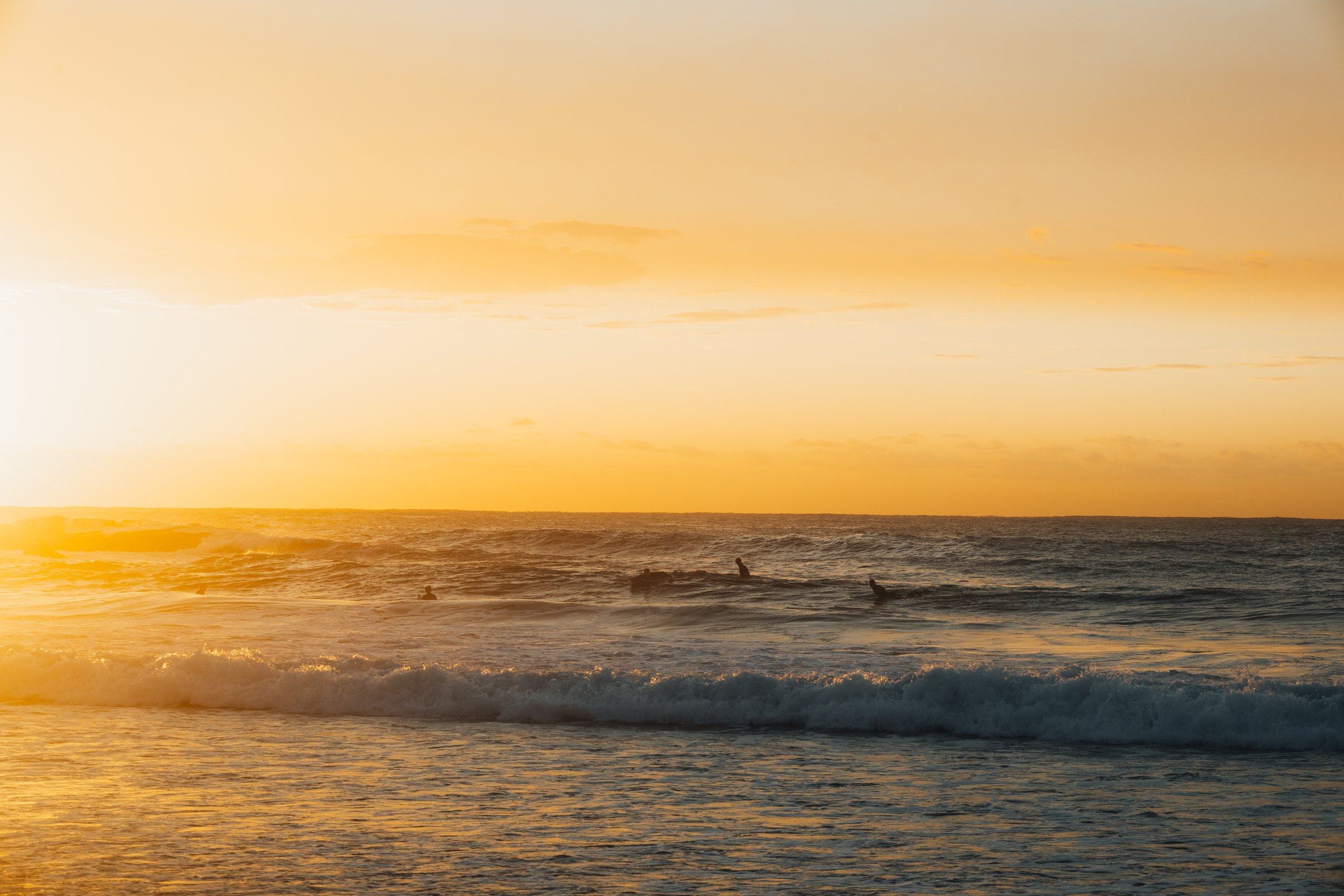 R6II2980.jpg