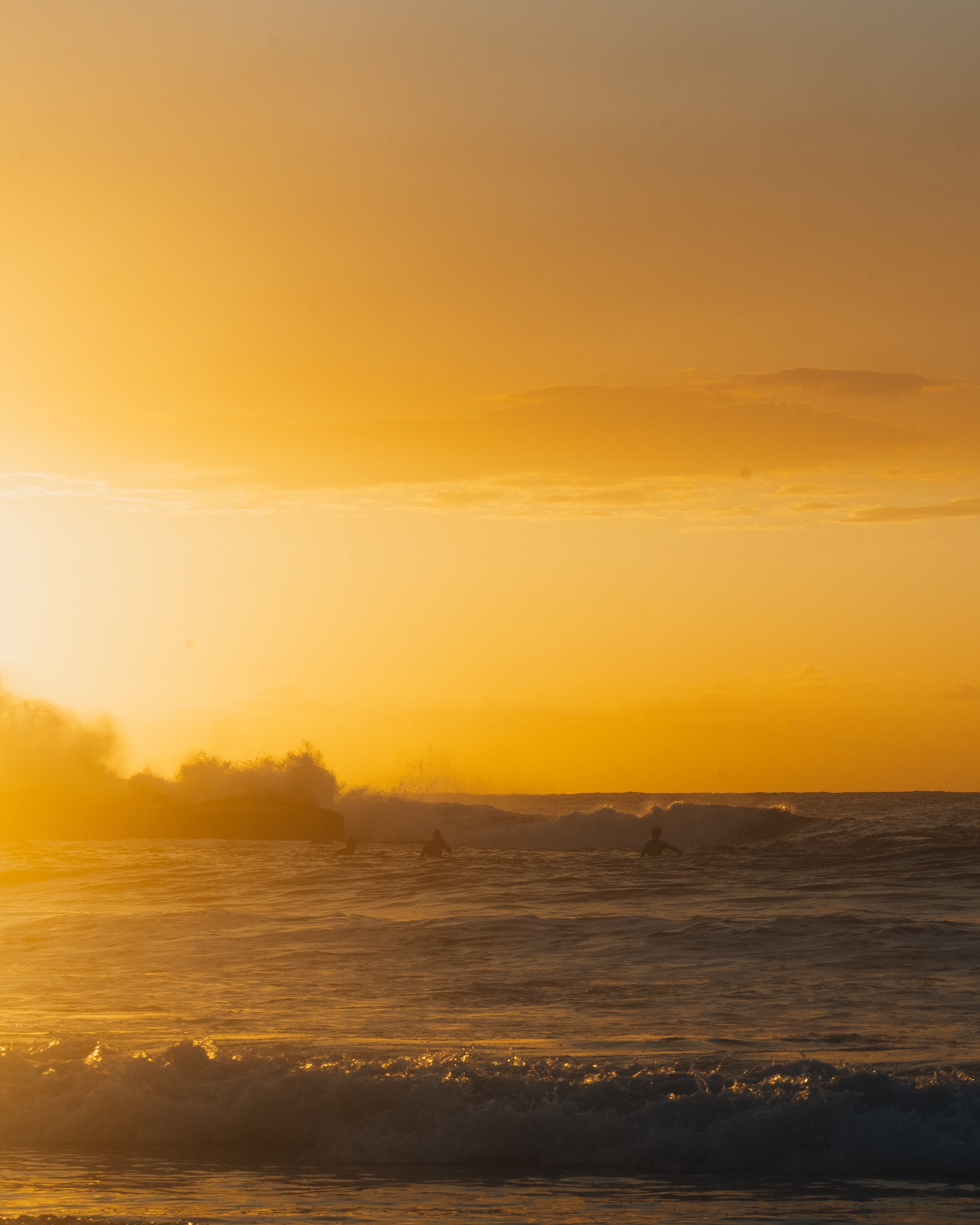 R6II2996-2.jpg