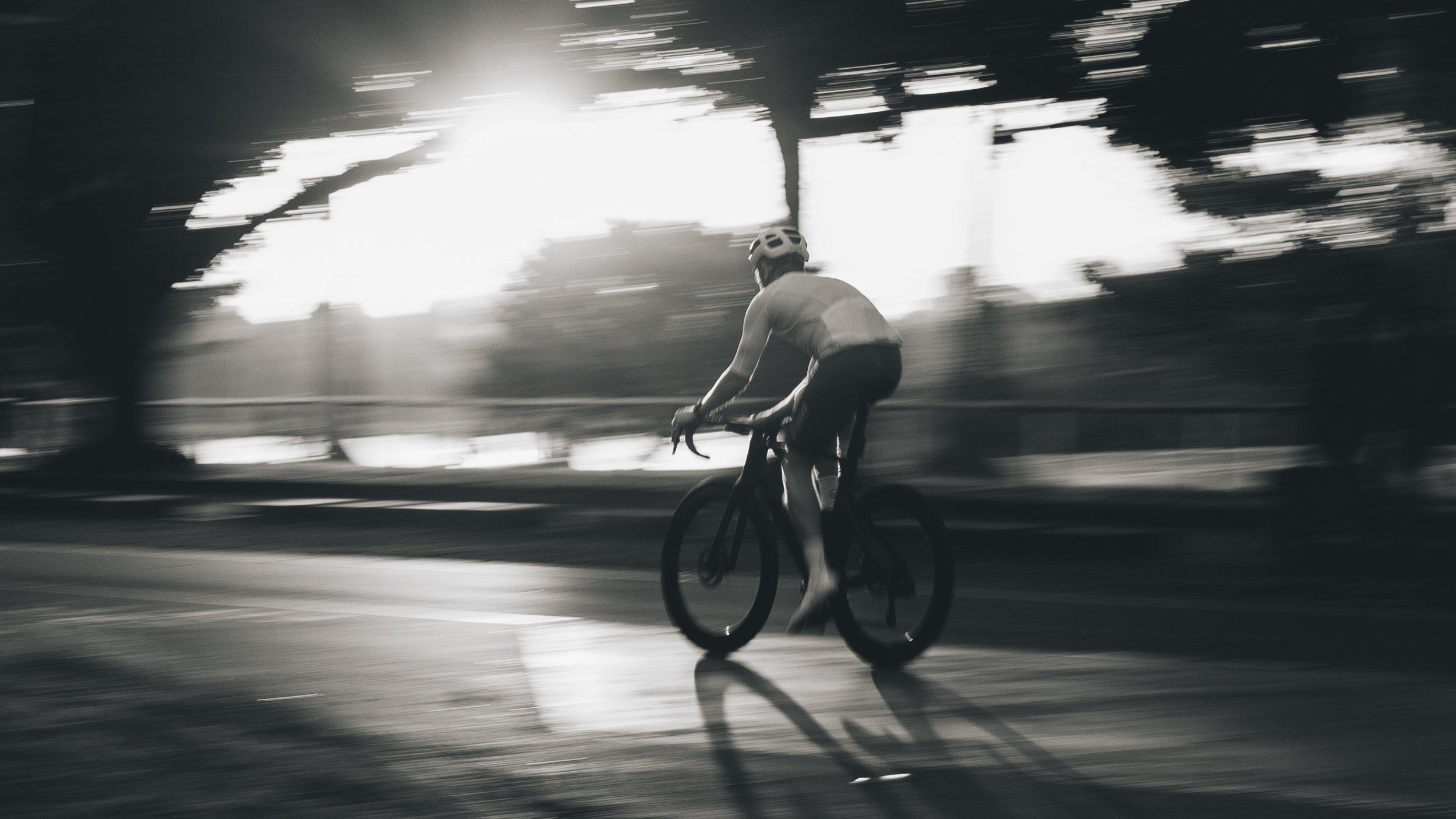 R6II3073.jpg