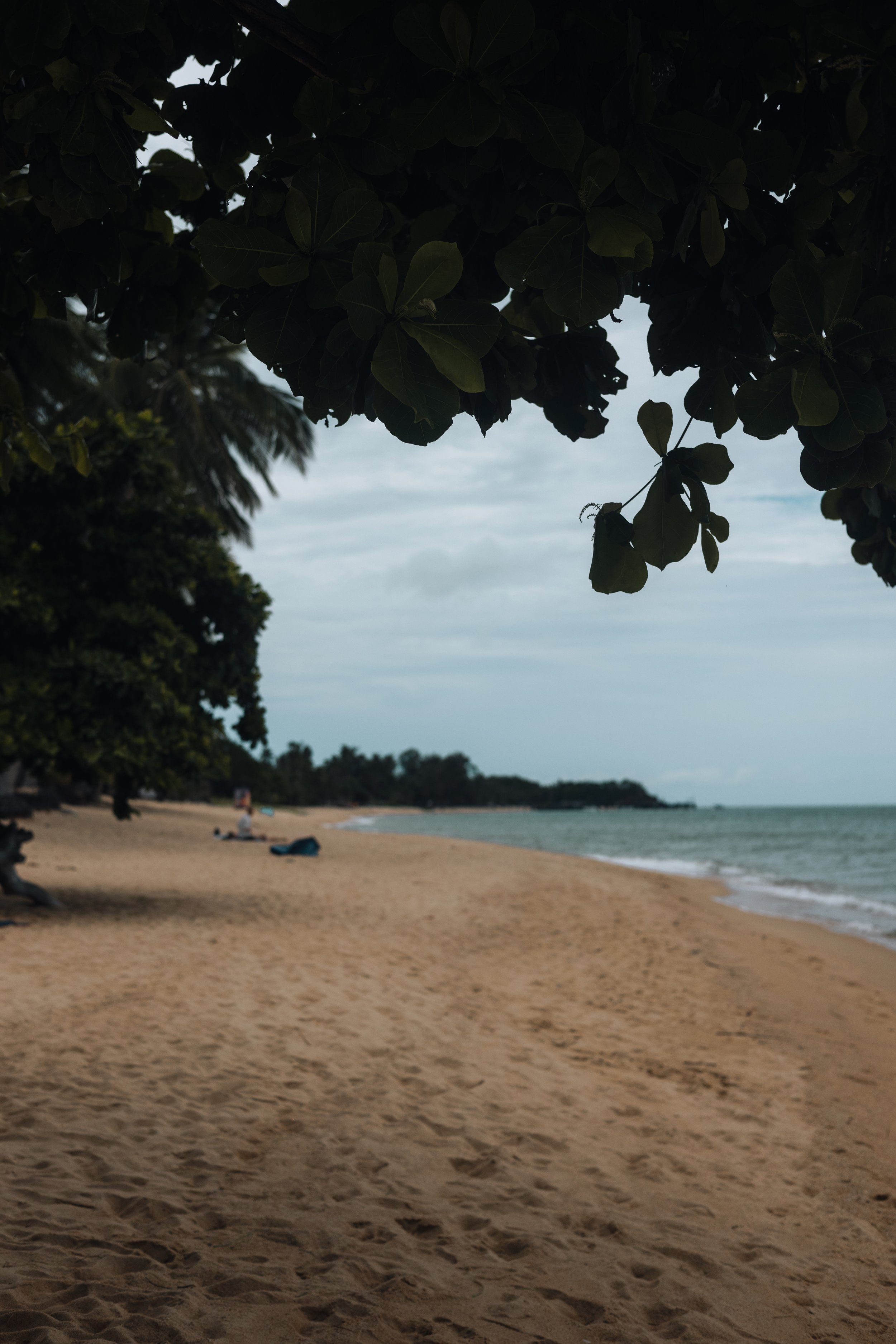 R6II2524.jpg