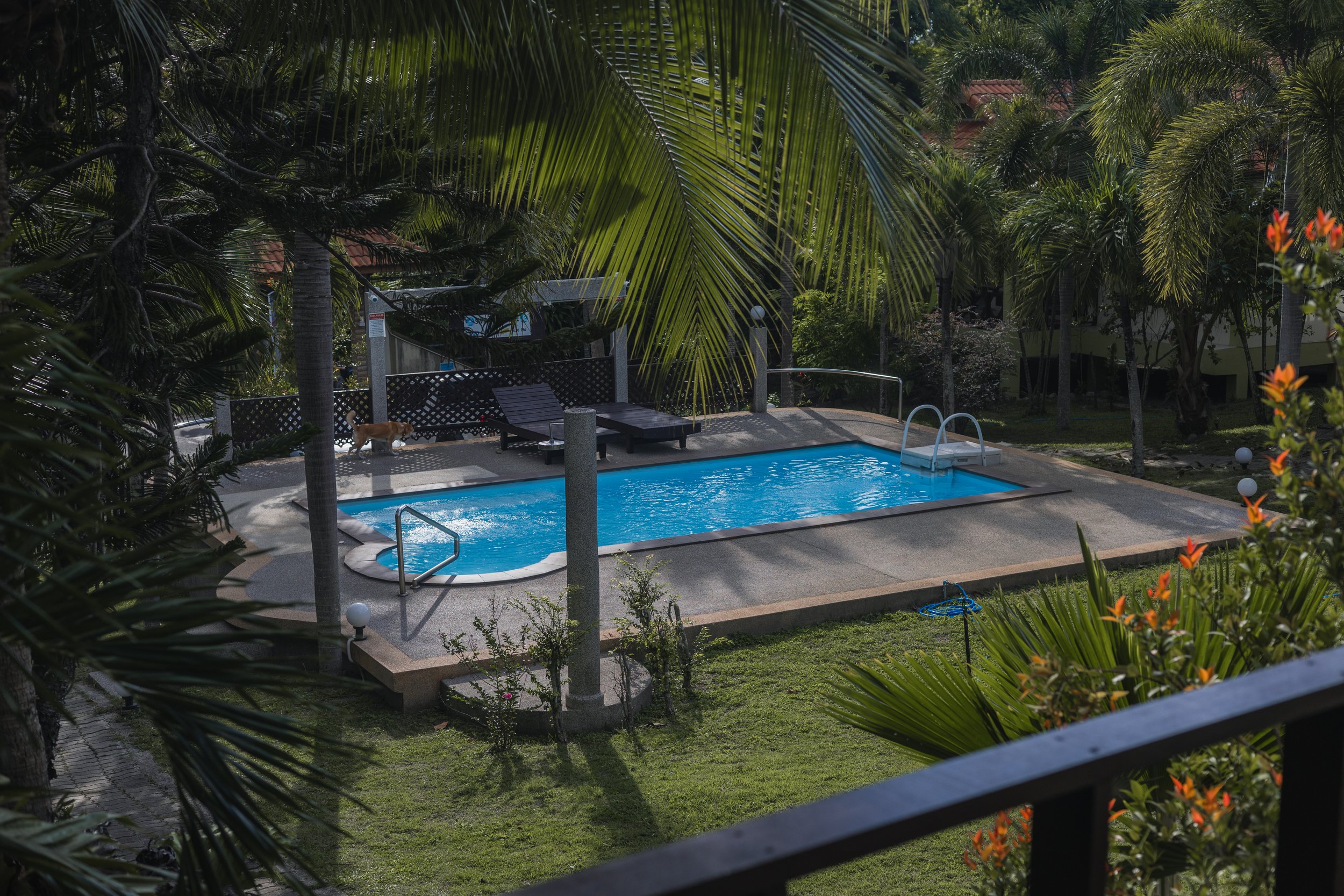 R6II2611.jpg