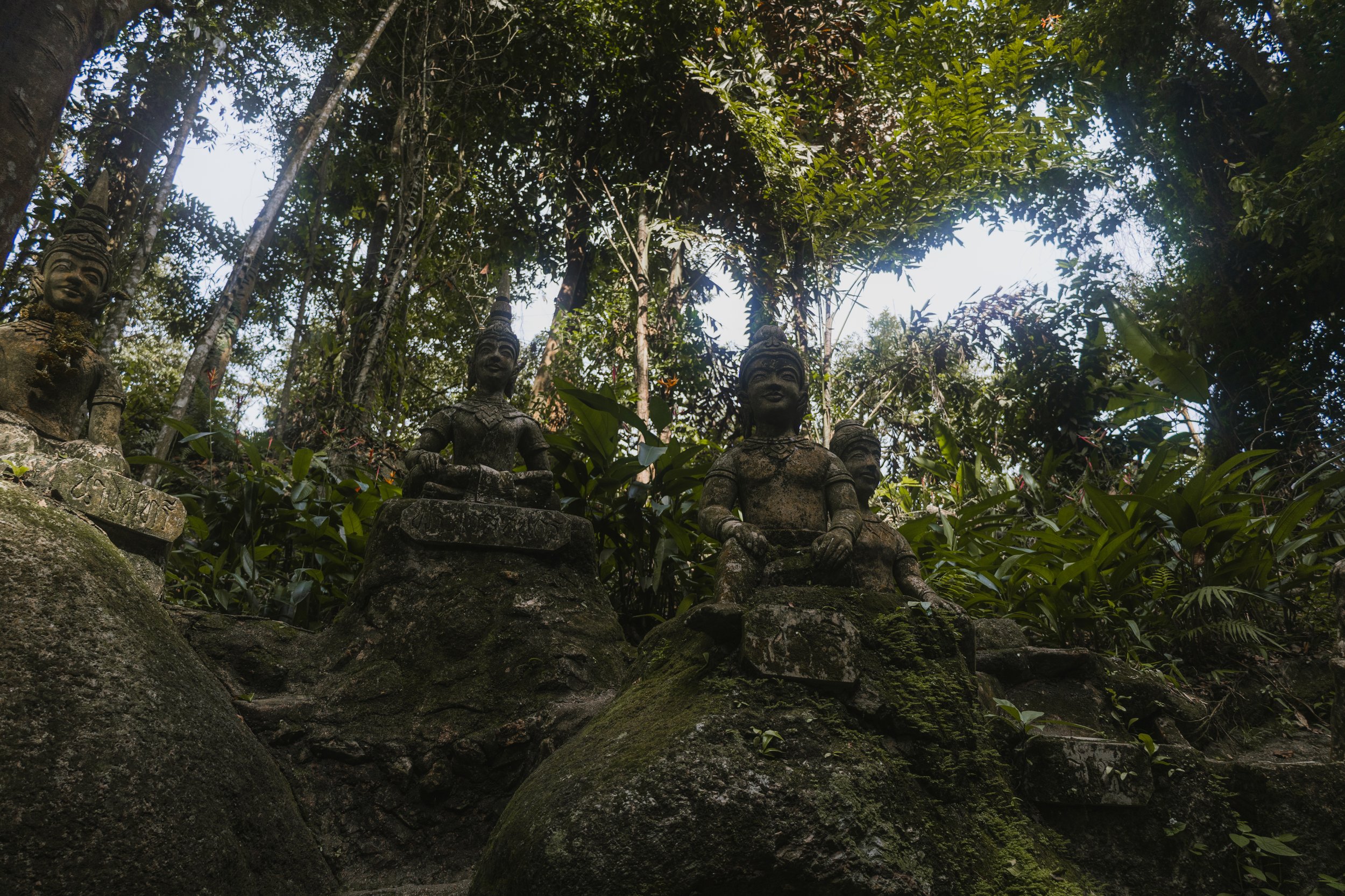 R6II2337.jpg
