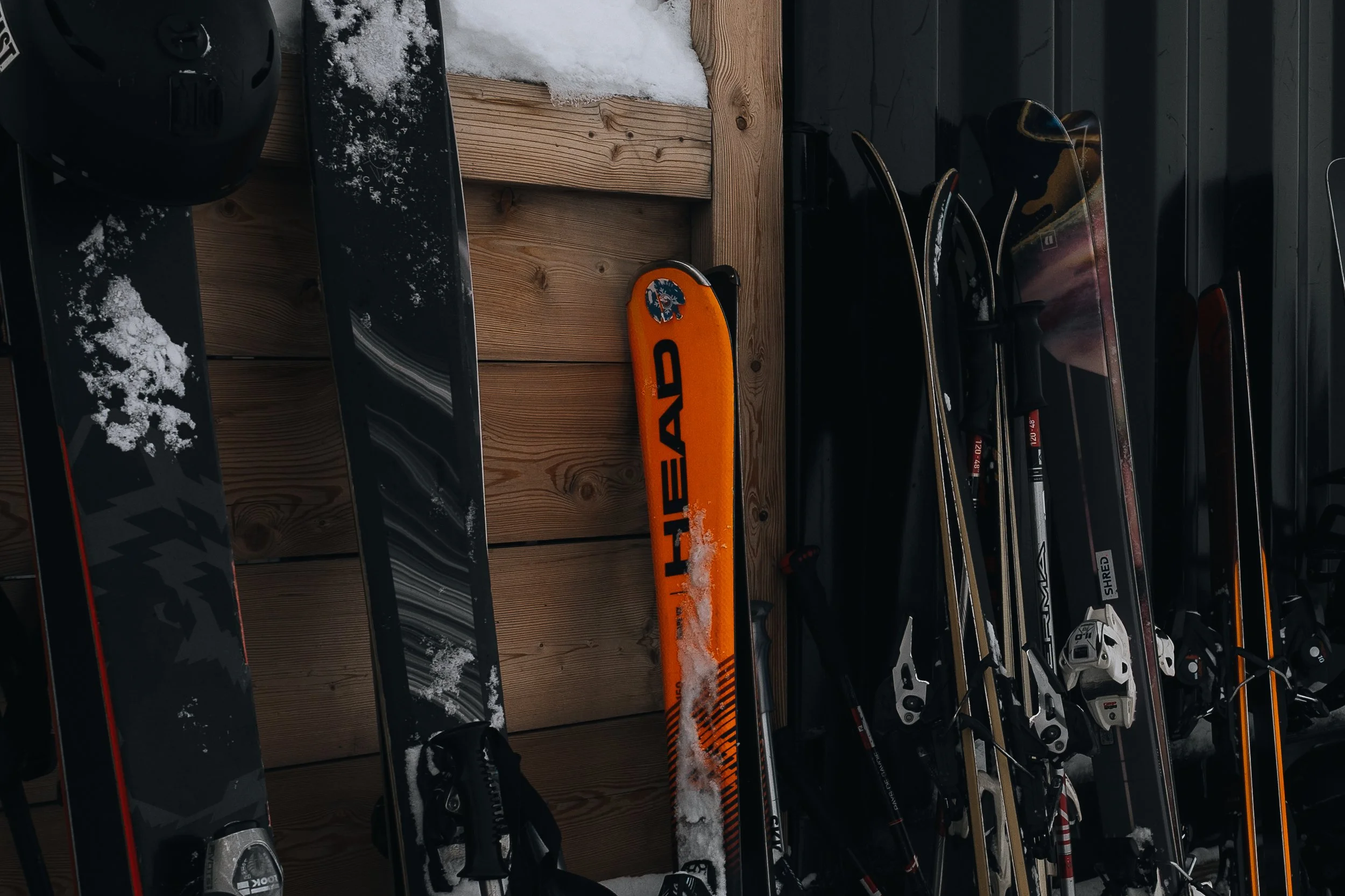 R6II8170.jpg