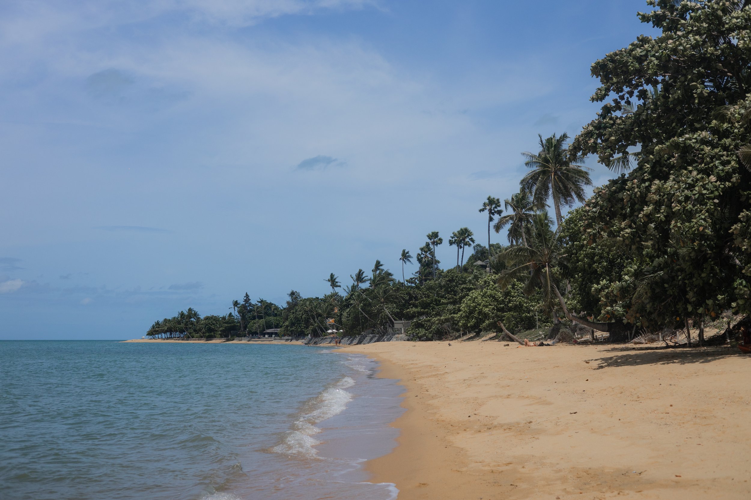 R6II2569.jpg