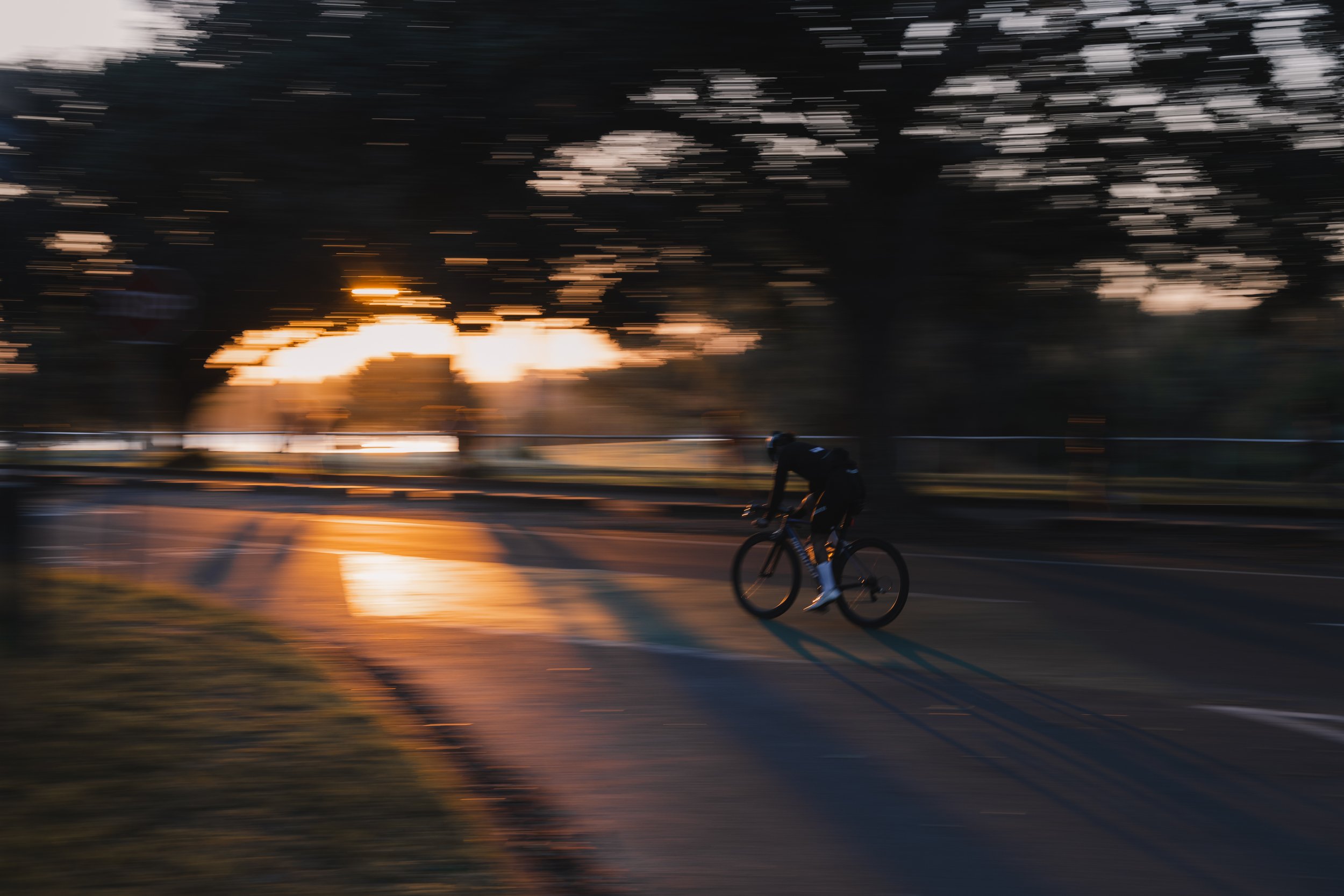 R6II3037.jpg