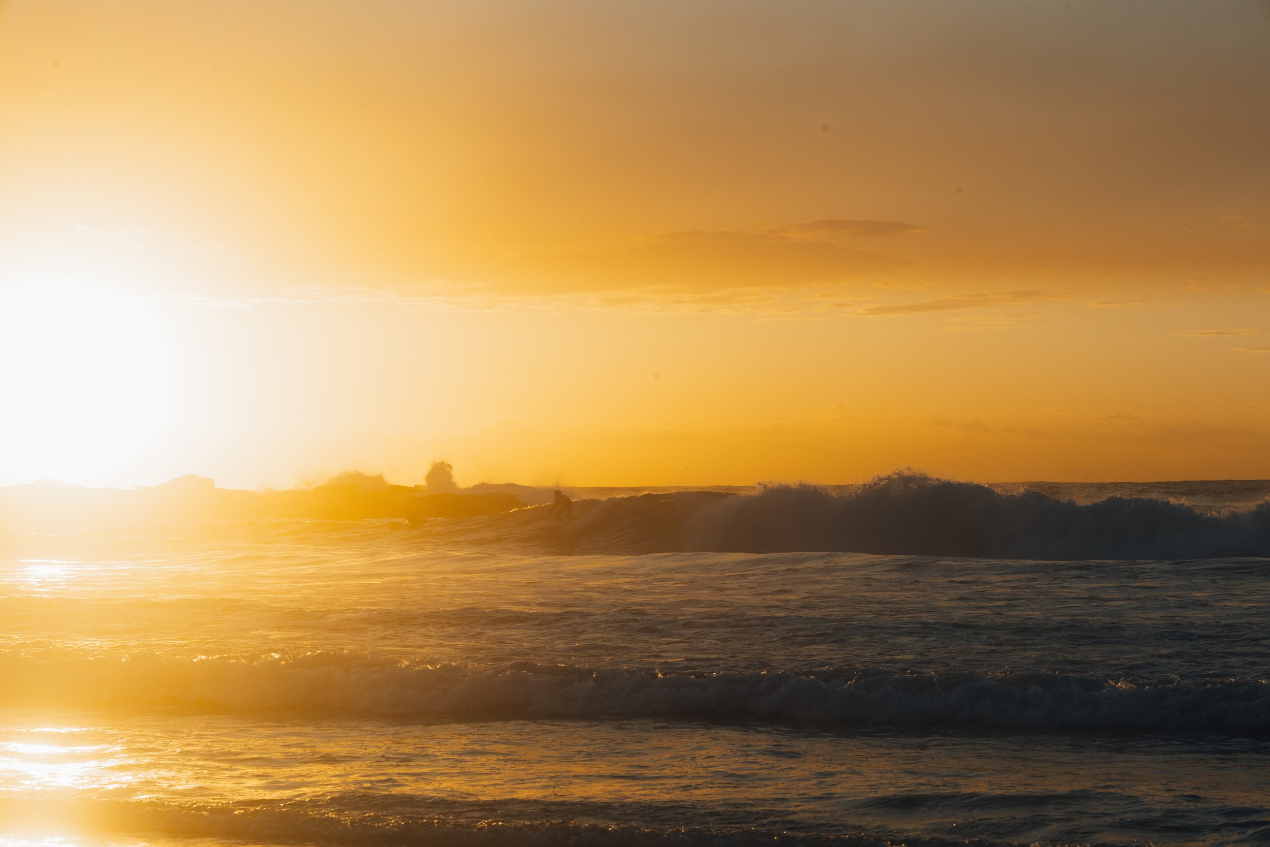 R6II2998.jpg