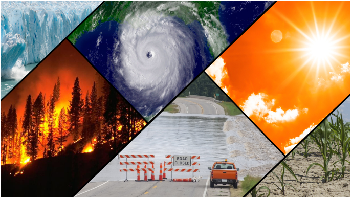 Climate Change Impacts