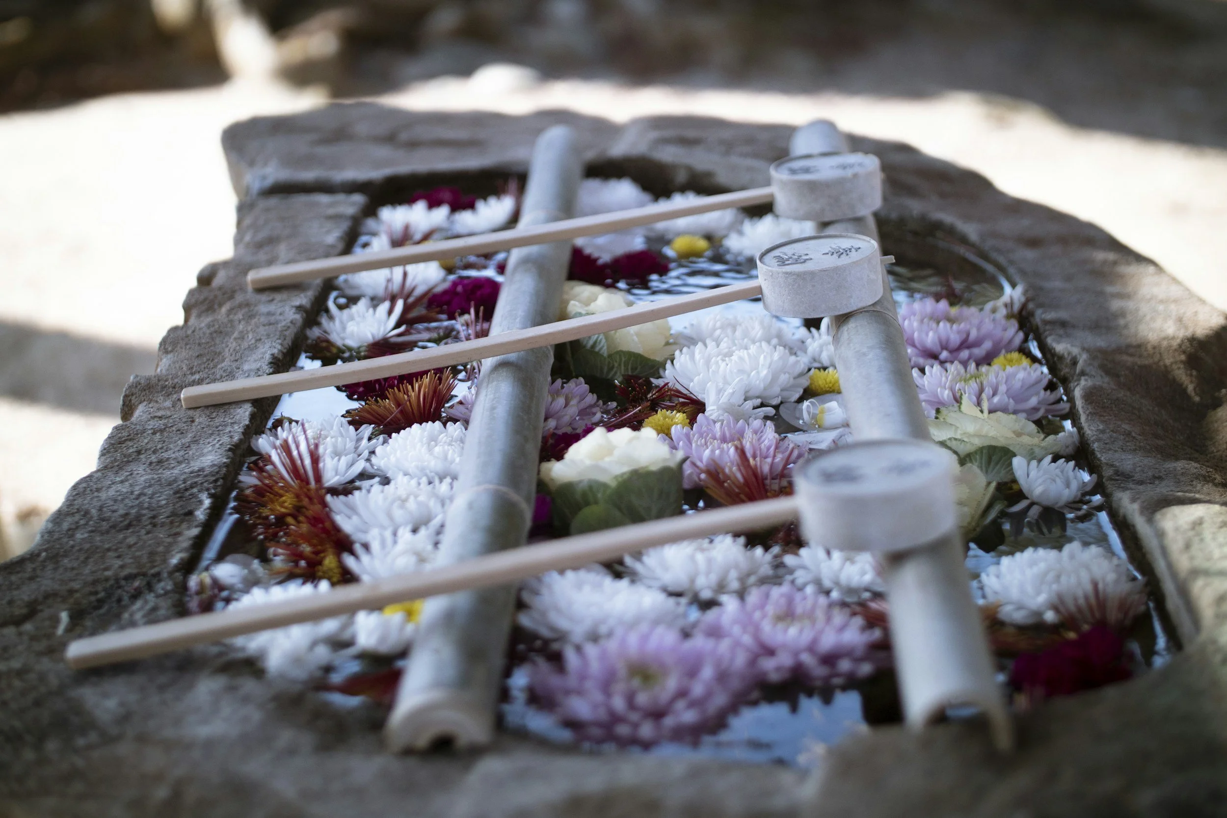 新年の目標を決める前に知っておきたい「サンカルパ」の話