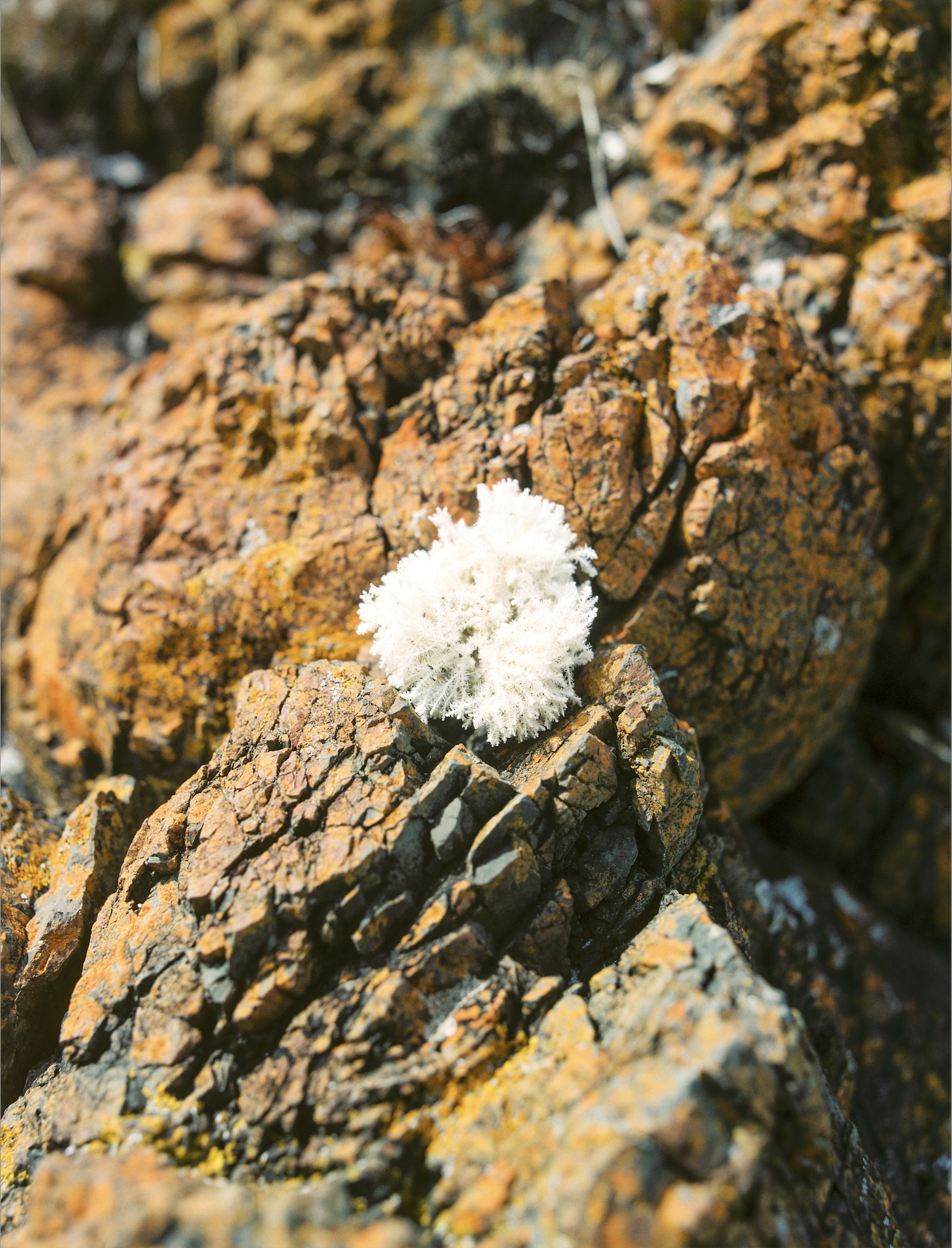 Screenshot 2025-08-08 at 3.47.48 pm.png