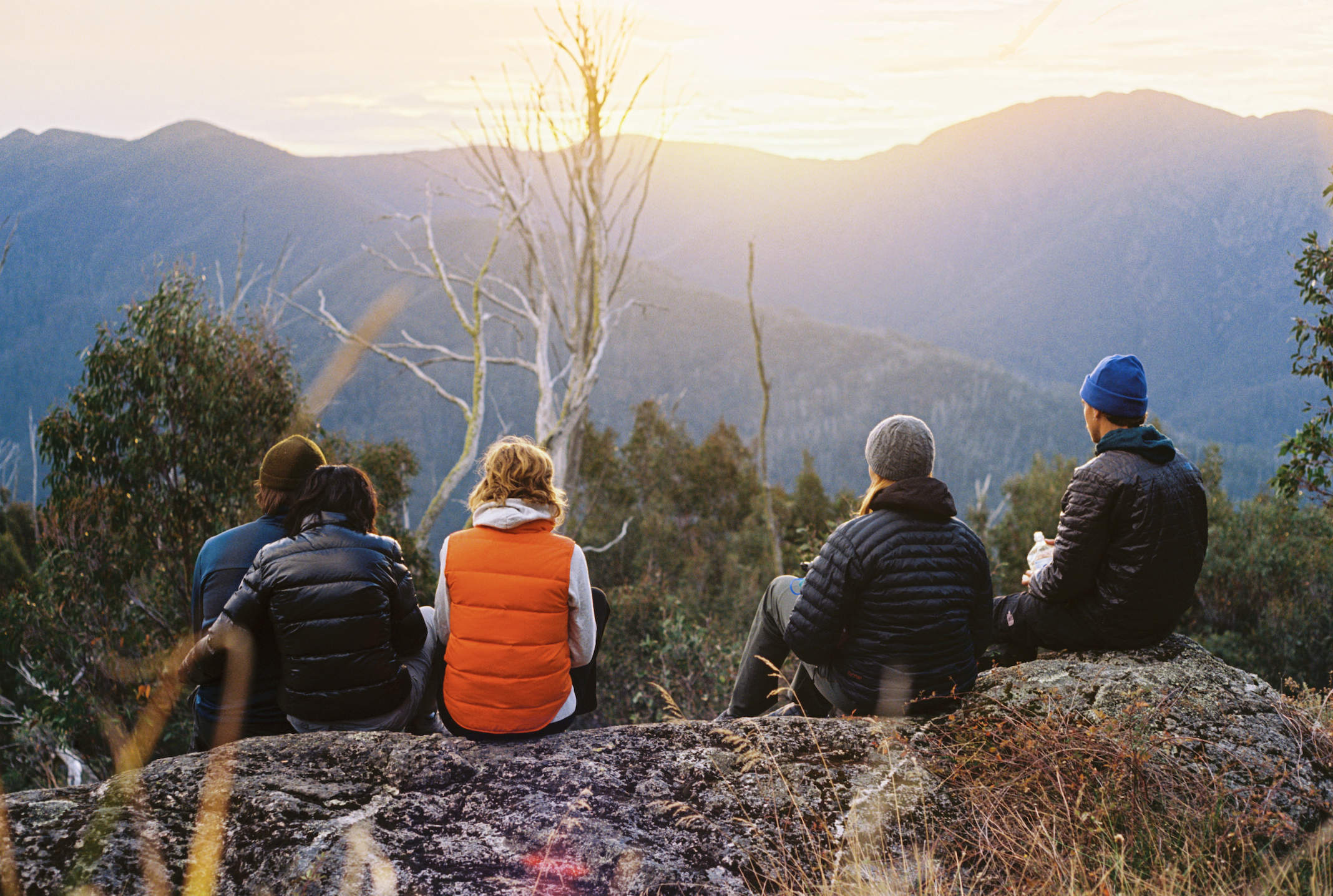 Screenshot 2025-08-08 at 3.46.54 pm.png