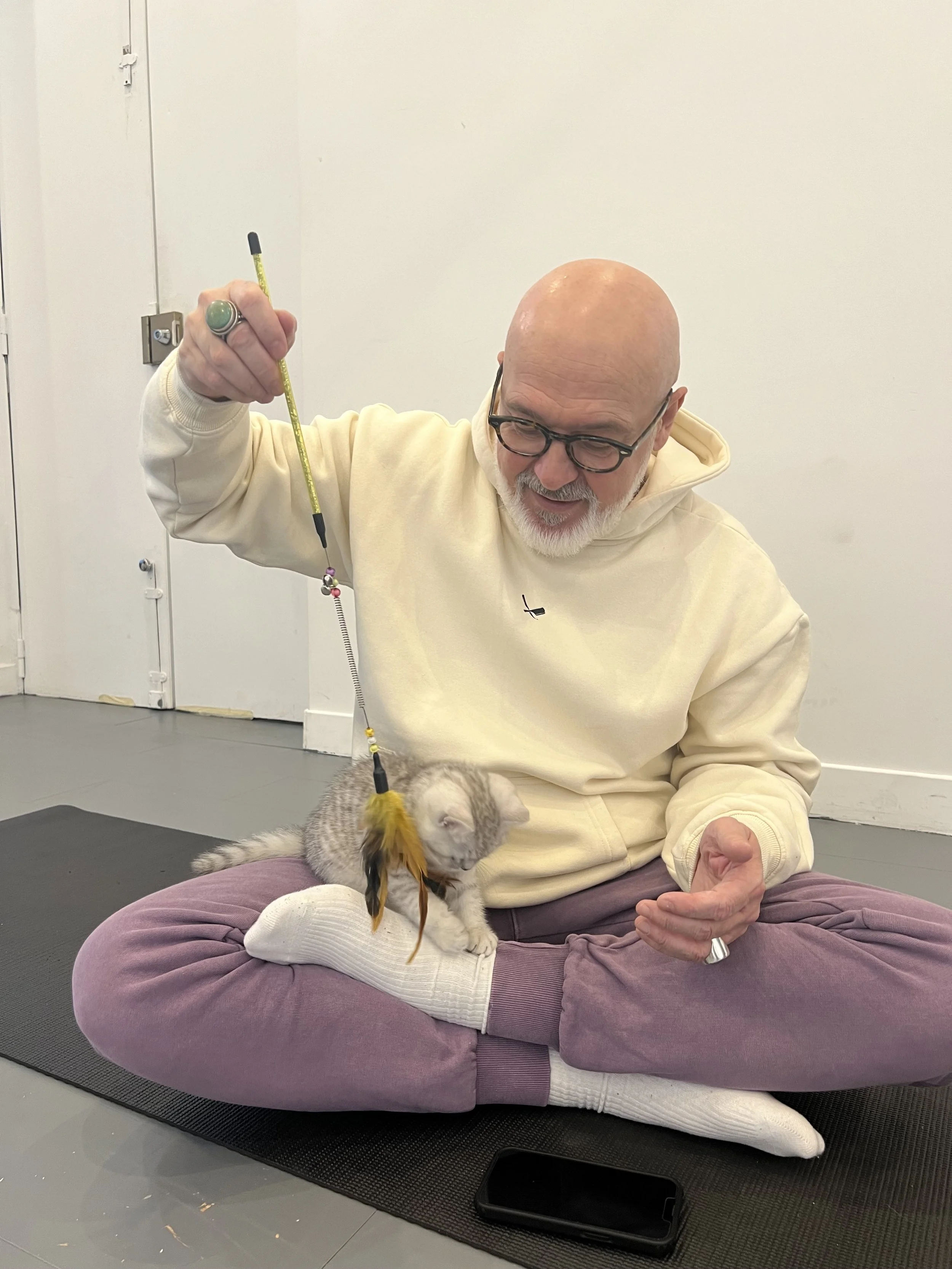 kitten-yoga-paris-stress.jpg