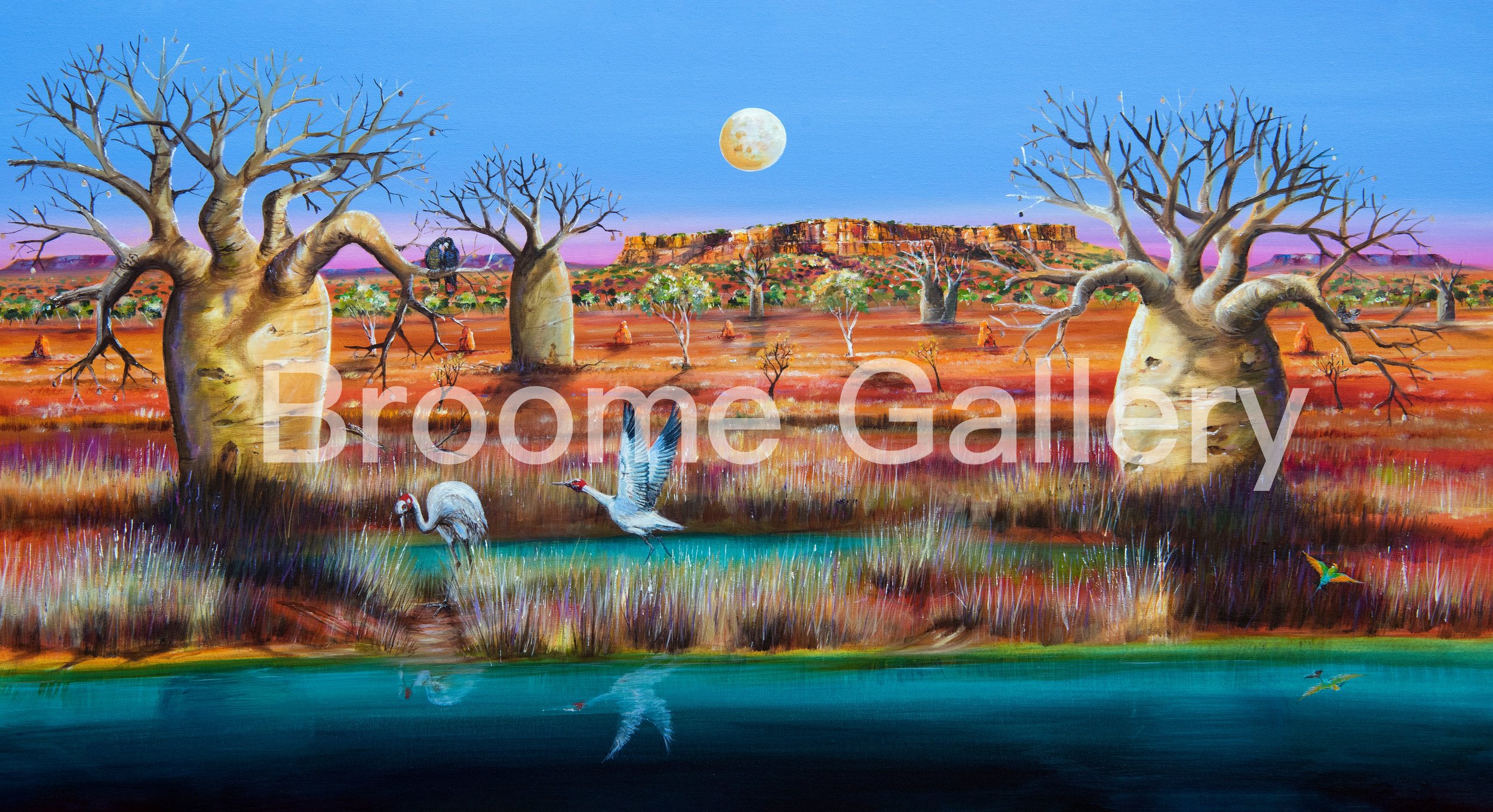 _Outback Fitzroy_.jpg