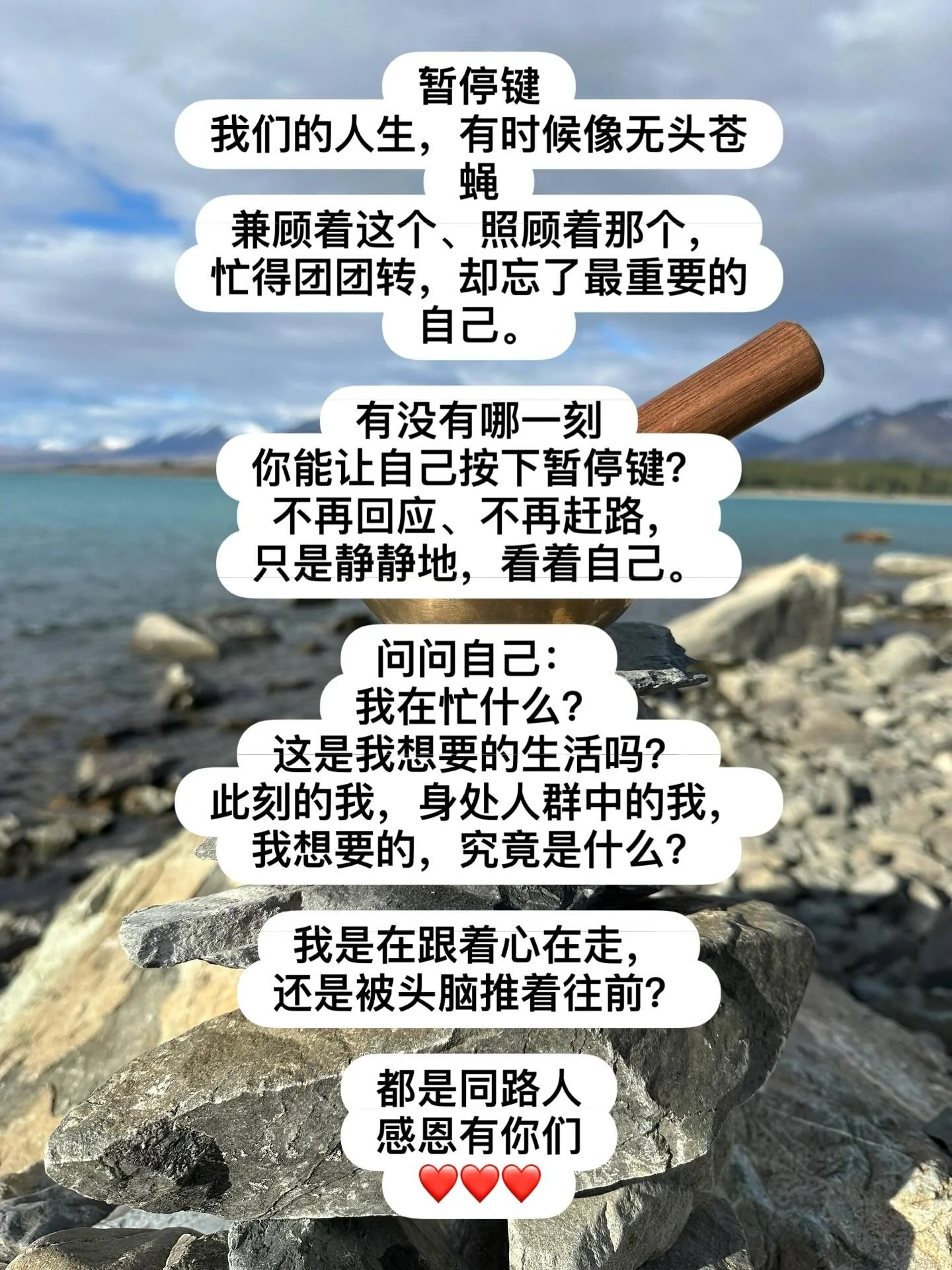 暂停键
我们的人生，有时候像无头苍蝇
兼顾着这个、照顾着那个，
忙得团团转，却忘了最重要的
自己。

有没有哪一刻
你能让自己按下暂停键？
不再回应、不再赶路，
只是静静地，看着自己。

问问自己：
我在忙什么？
这是我想要的生活吗？
此刻的我，身处人群中的我，
我想要的，究竟是什么？

我是在跟着心在走，
还是被头脑推着往前？

都是同路人
感恩有你们 
❤️❤️❤️