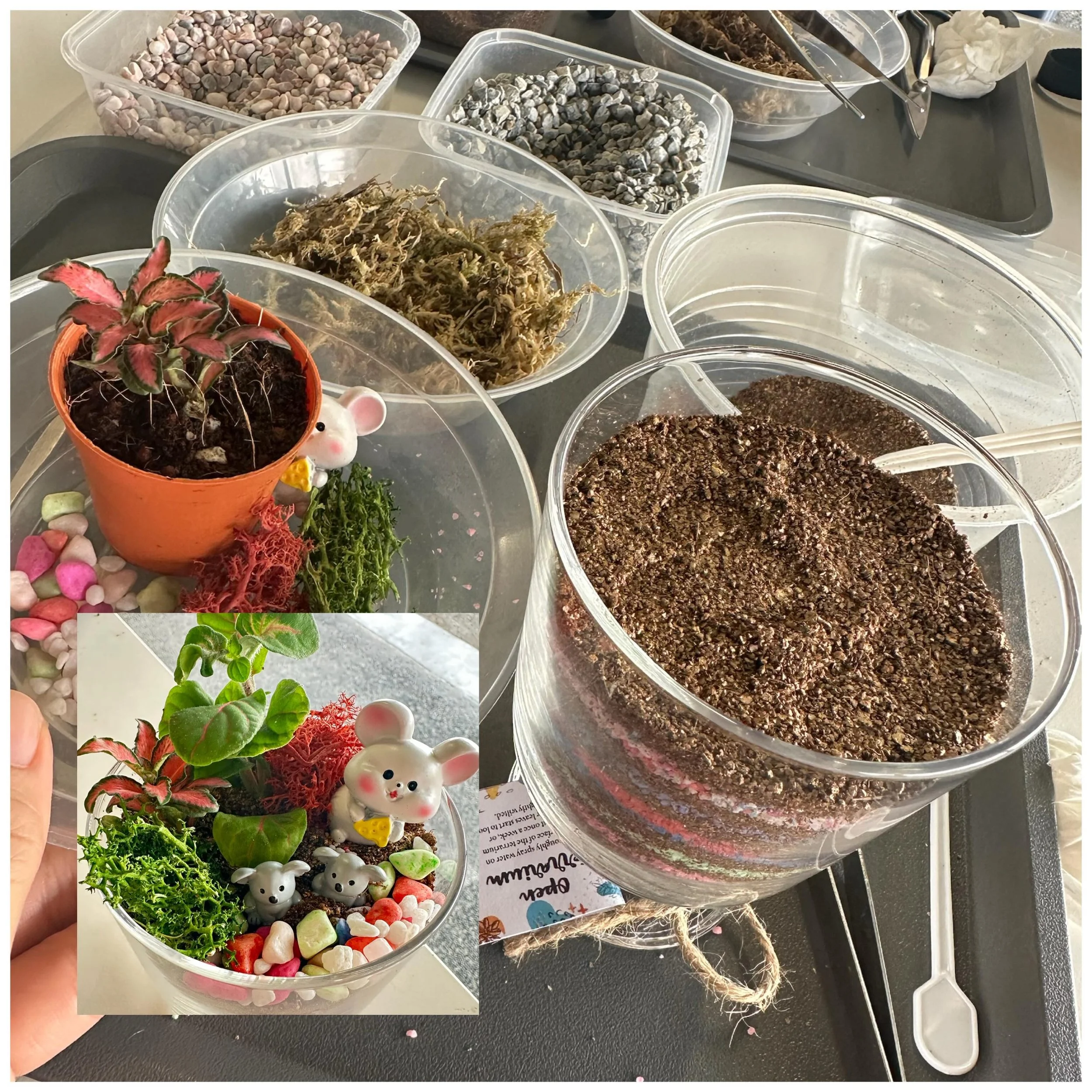 🌱 有时候，我们总想先知道结果，才愿意开始。

这盆小小的生态瓶，从一把土、一颗石子、一撮苔藓开始。

制作的时候，我们并不知道最后会长成什么样子。
会不会好看？
会不会失败？
会不会做到一半发现自己选错了？

但当我们放下对结果的执着，
专注在眼前的每一个步骤，
认真铺好土壤、摆放石头、安置植物，
慢慢地，你会发现

原来最疗愈的，不是完成作品的那一刻，
而是全心投入当下的过程。❤️

人生很多时候也是如此。

未来如何，没有人能百分之百确定。
与其不断担心结果，
不如把心带回此刻，
专注做
