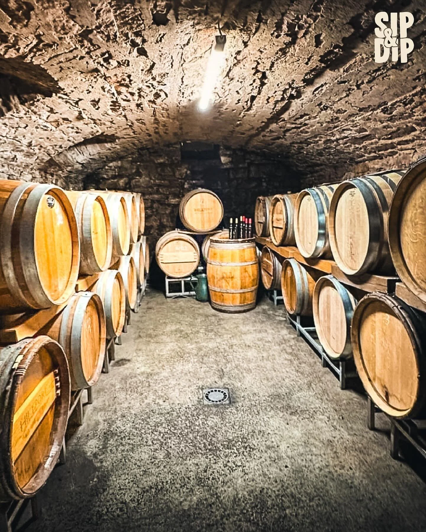 Gestern zu Besuch bei Weingut Hillerich 🧡
#wein #weingut #weinguthillerich #weintasting #sipanddip #churfranken #nachhaltig