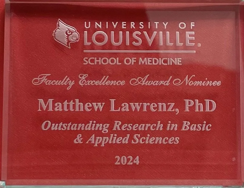 Matt Recognized for Excellence in Research