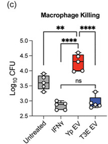 New Paper on Plague, Neutrophils, and EV Production