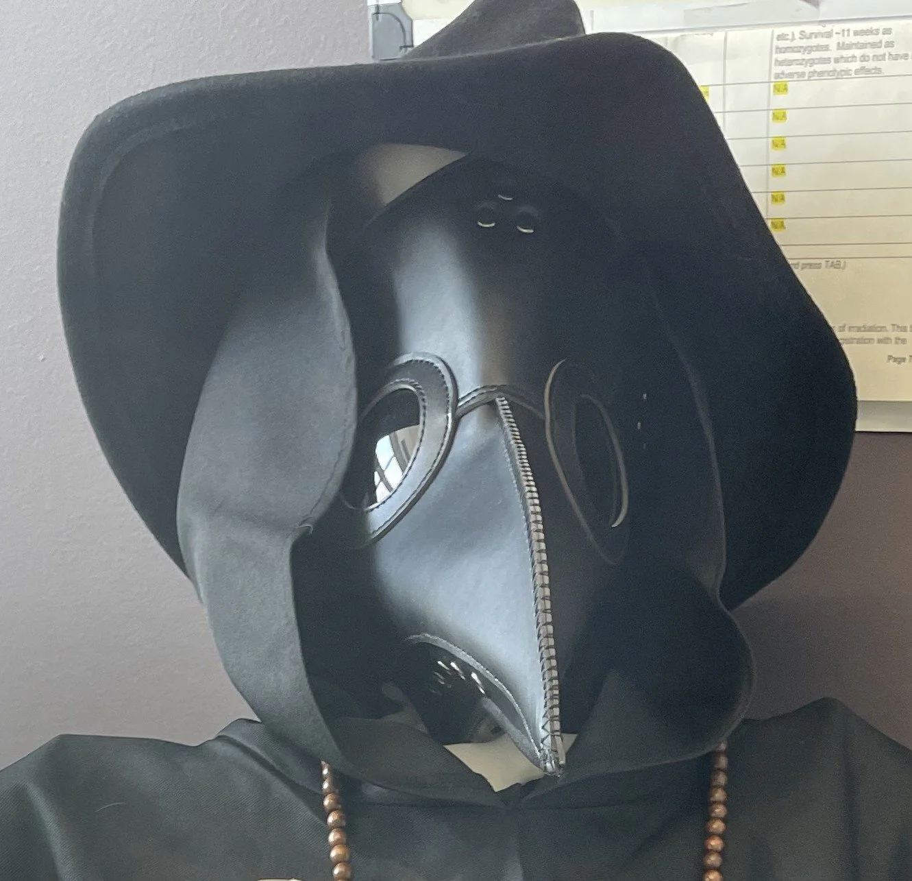 The Plague Doctor Sends Birthday Wishes